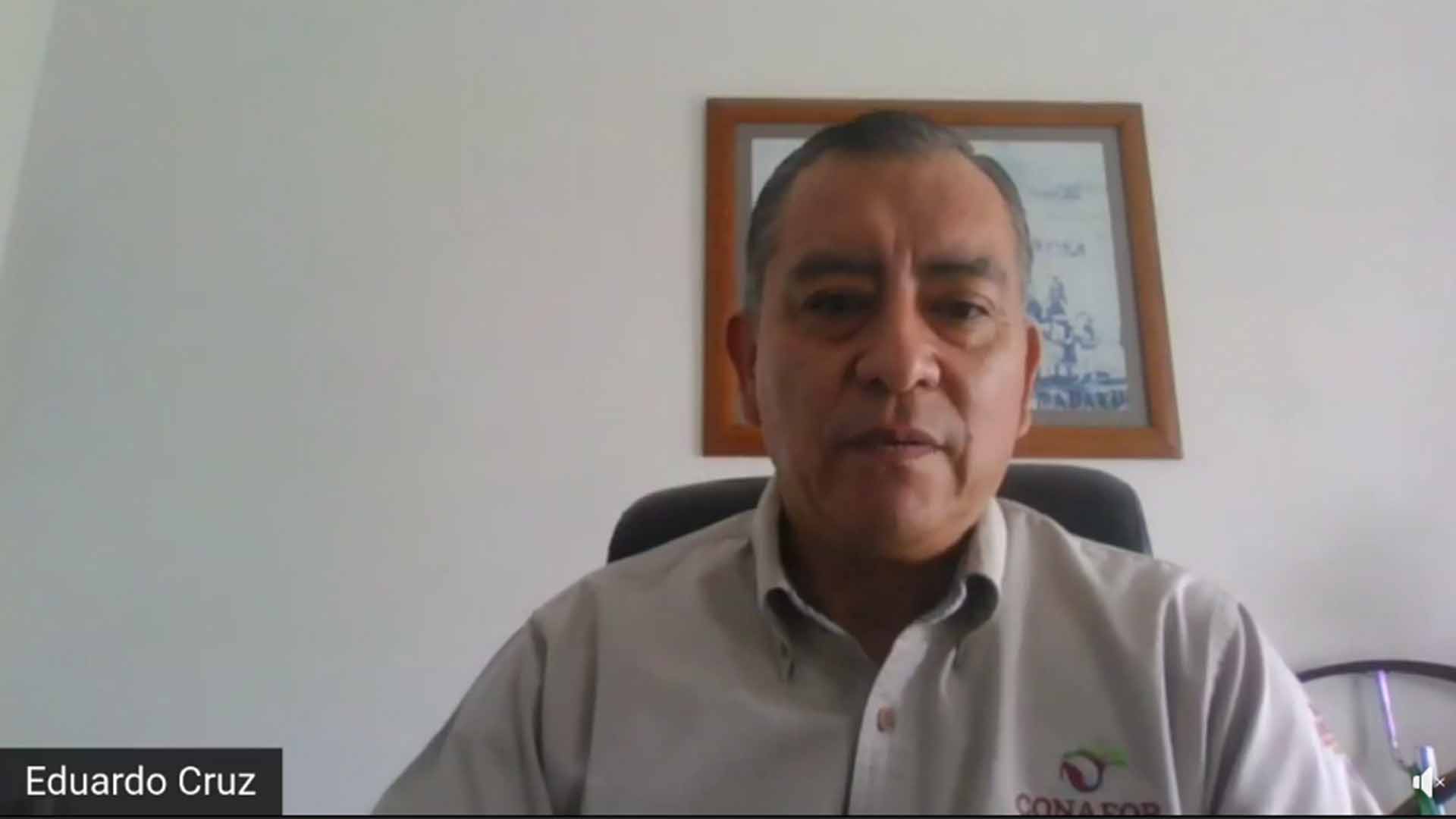 Prevenir incendios forestales es responsabilidad de todos