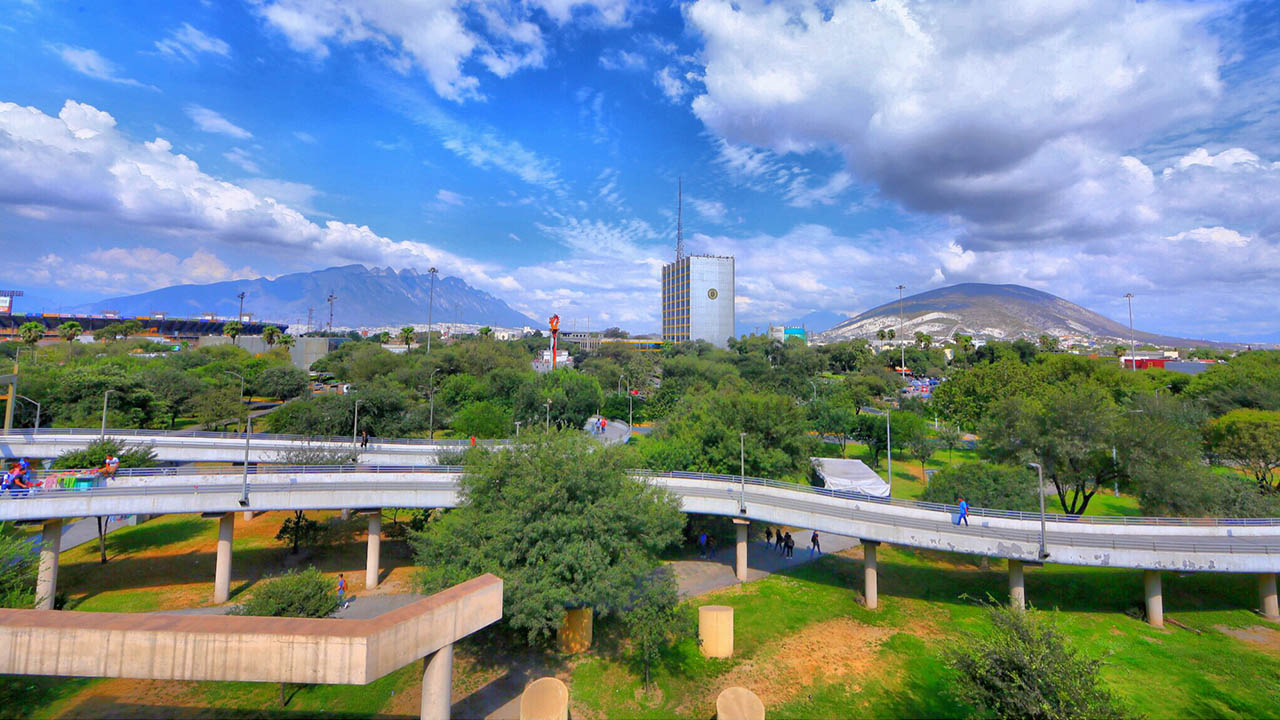 Presentan diagnóstico sobre el capital forestal de Filosofía y Letras