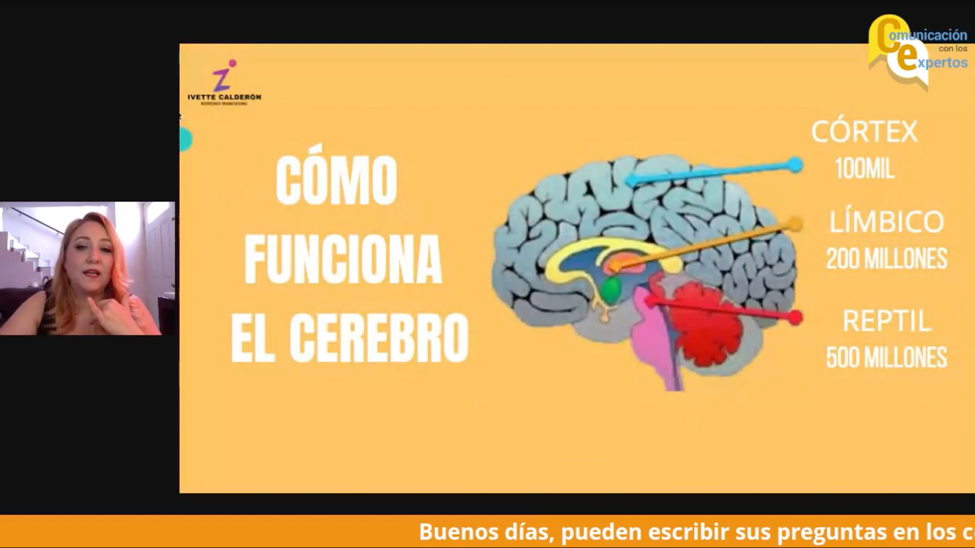 Describen influencia de neurociencia en mensajes estratégicos
