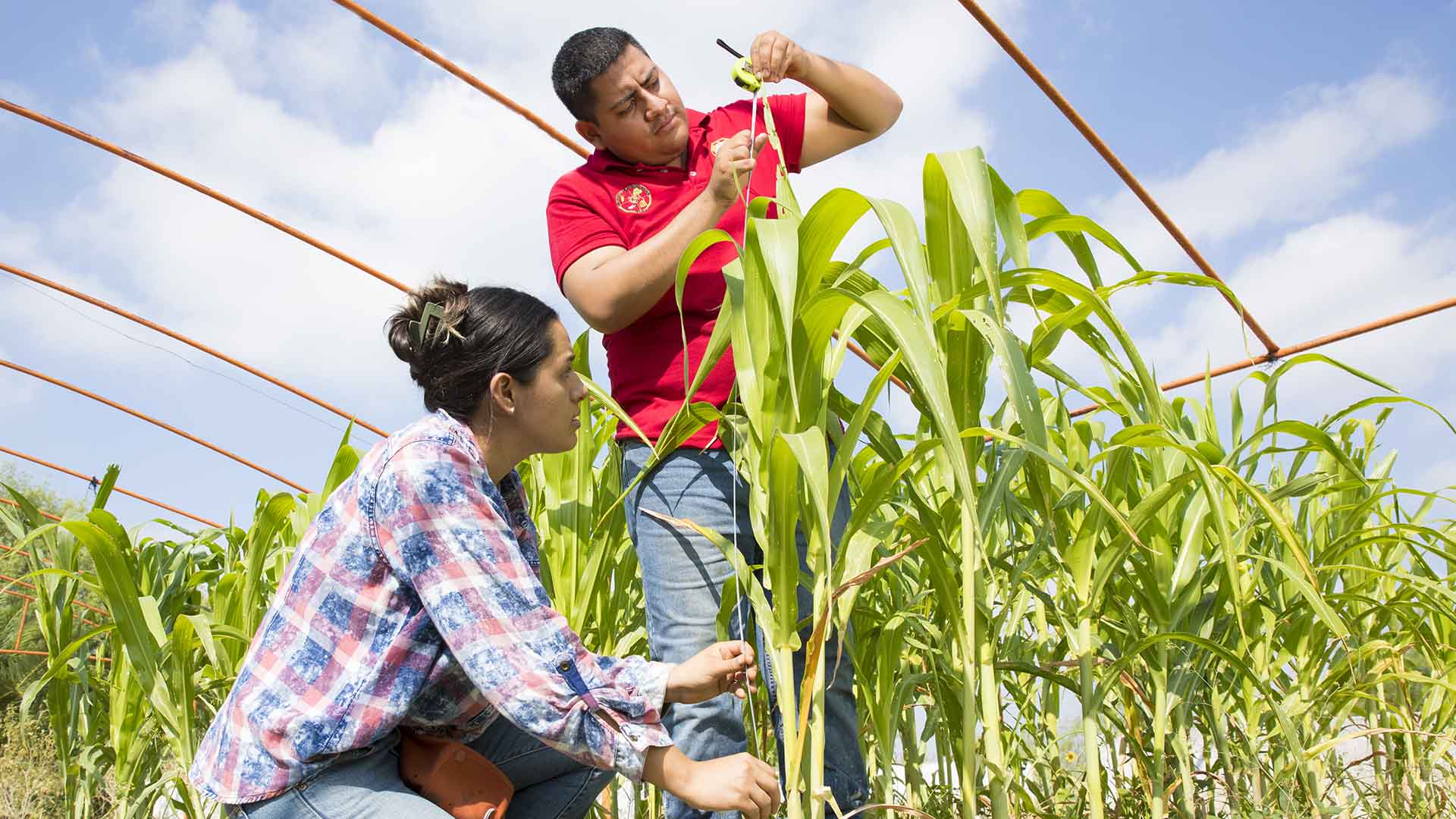 Destaca en seguridad alimentaria y agronegocios Facultad de Agronomía