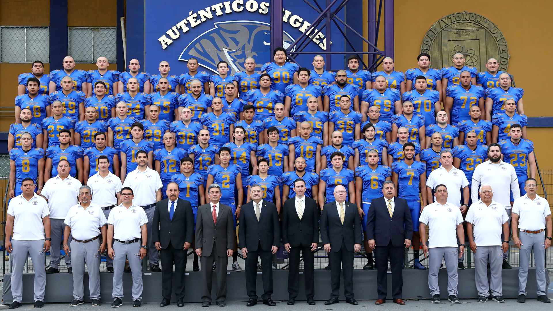 Van Auténticos Tigres Intermedia por campeonato 2023