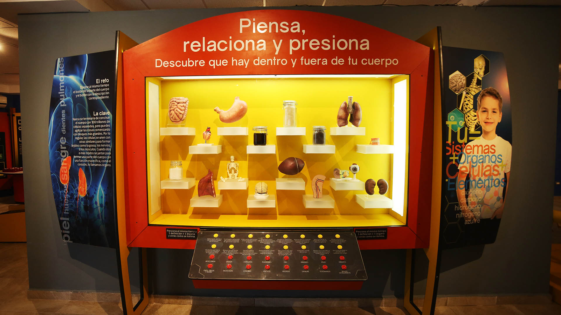 Museo Universitario de Ciencias celebra su segundo aniversario