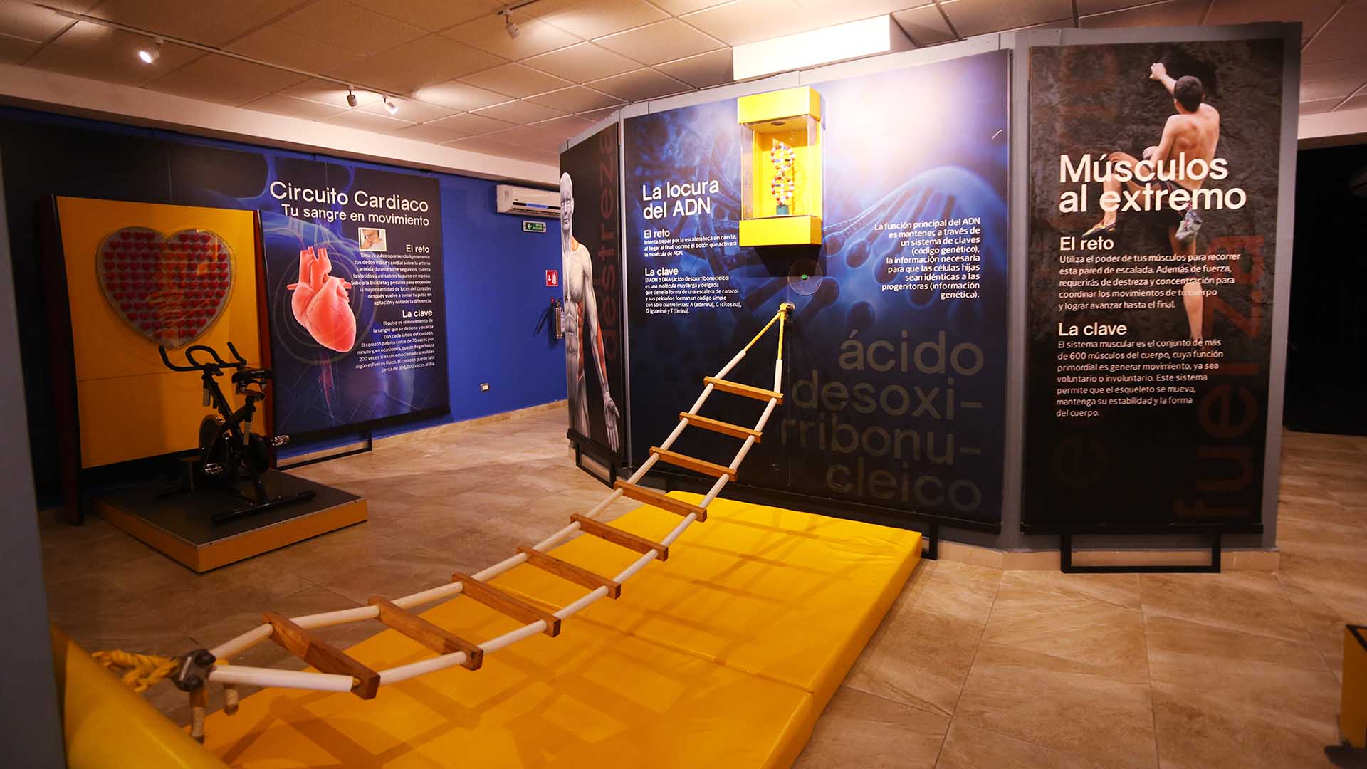 Inaugura UANL el Museo Universitario de Ciencias