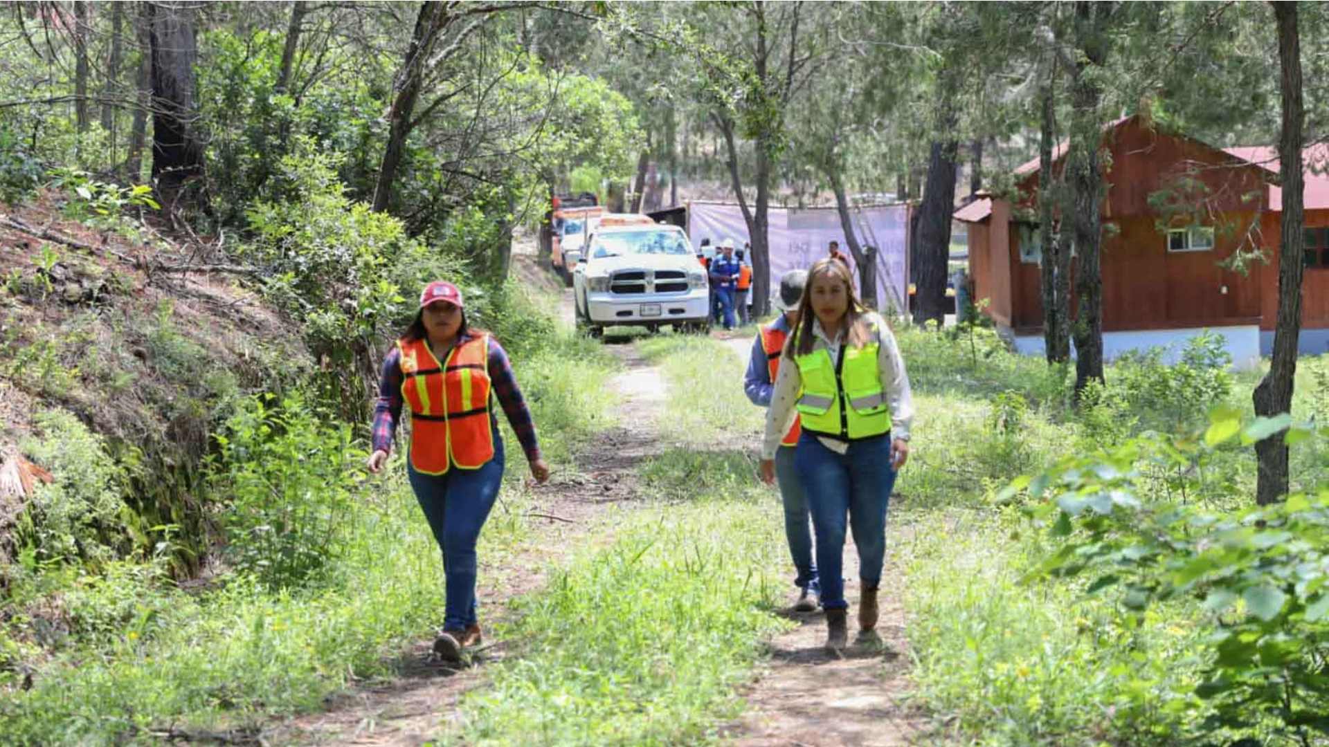 Trabajan universitarios en prevención de incendios forestales