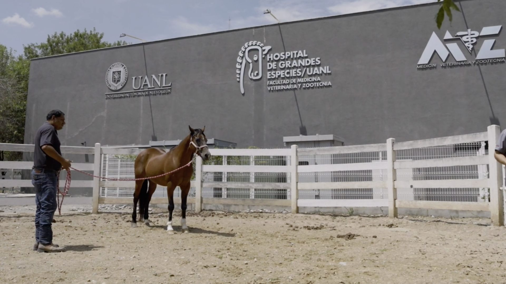 Celebra FMVZ 50 años dedicados a buscar el bienestar animal