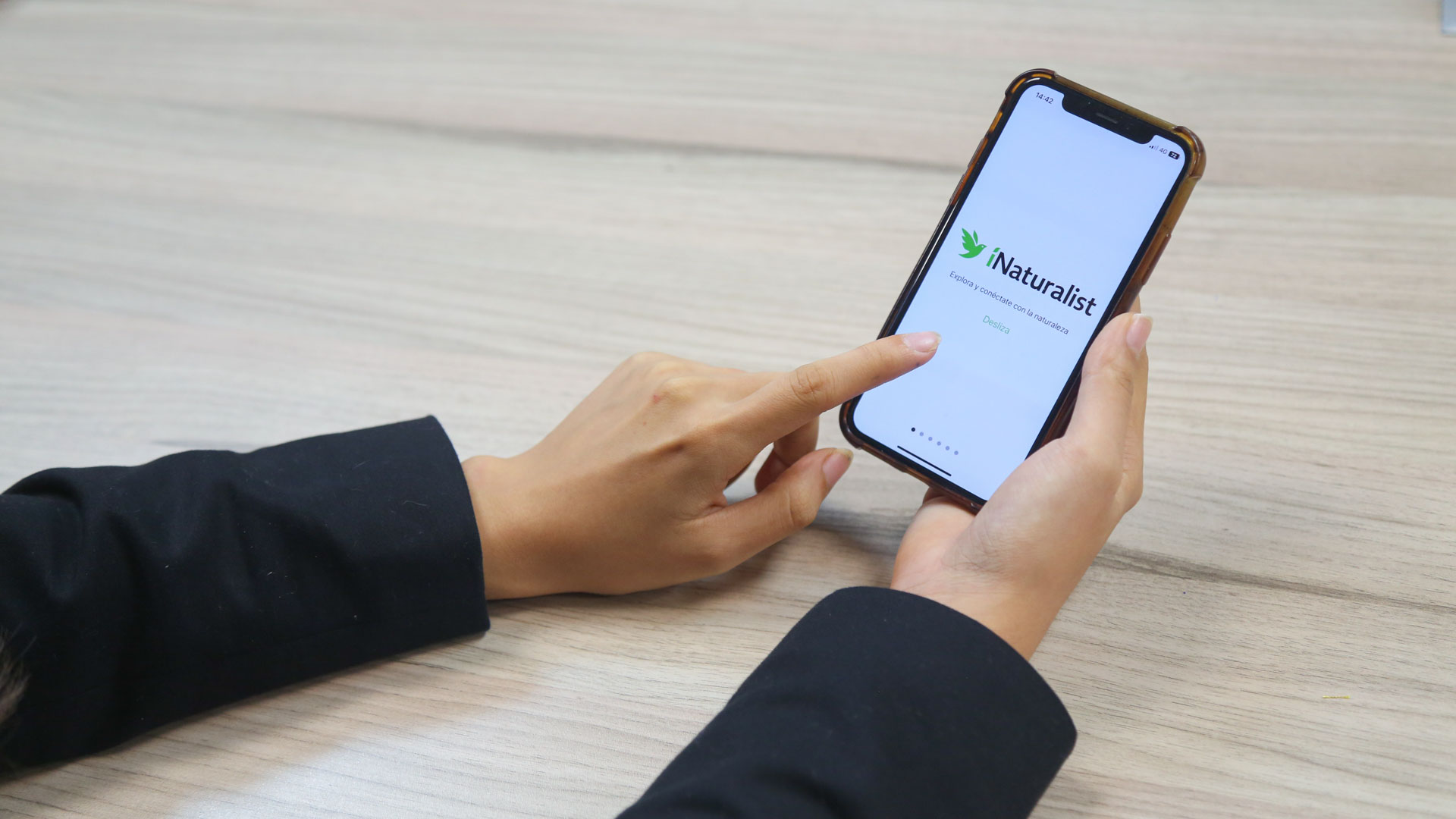 Desarrolla club de biología de Prepa 16 aplicación iNaturalist