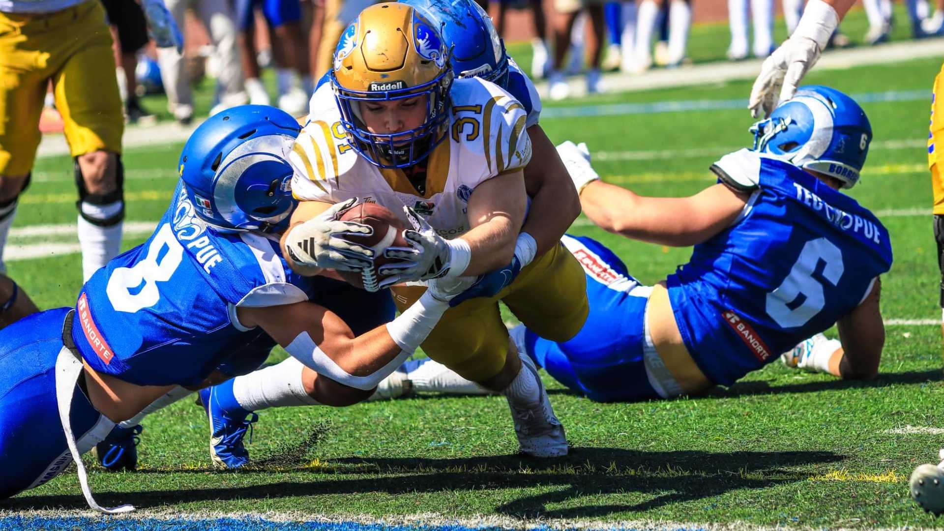 Quieren Auténticos volver al triunfo en arranque de los playoffs de ONEFA
