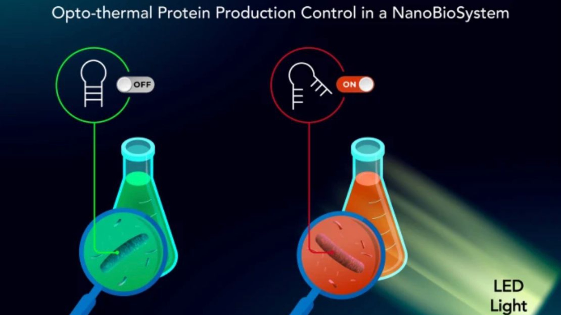 Controlan expresión genética de las células con nanobiorrobots