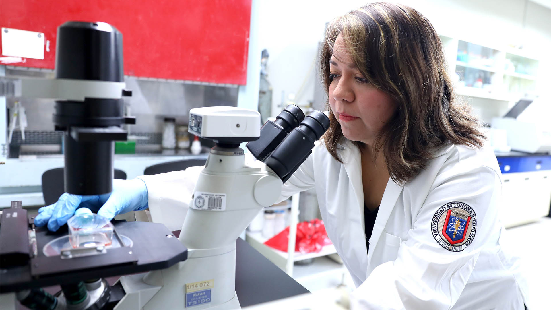 Prueba HU tratamiento contra cáncer de mama triple negativo