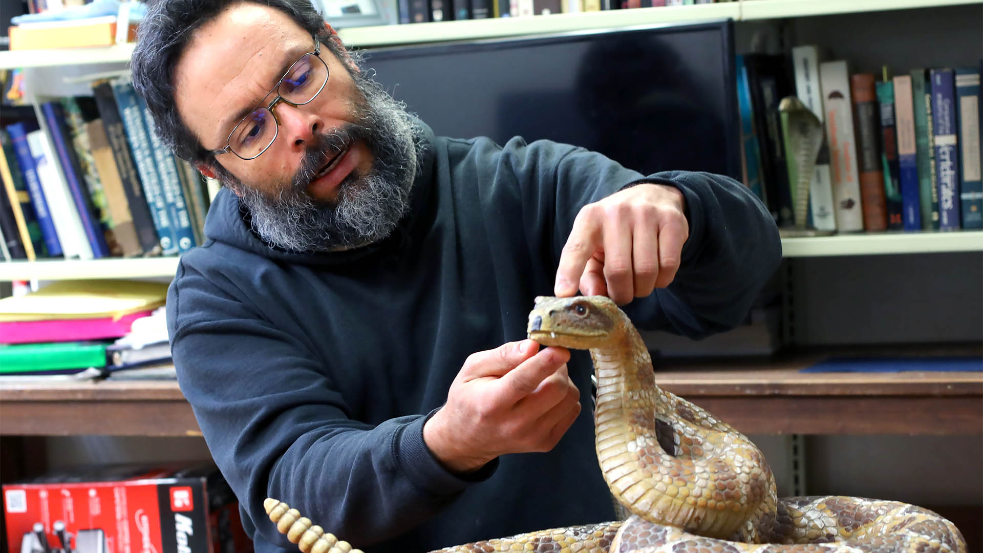 Es UANL líder nacional en el estudio de los reptiles