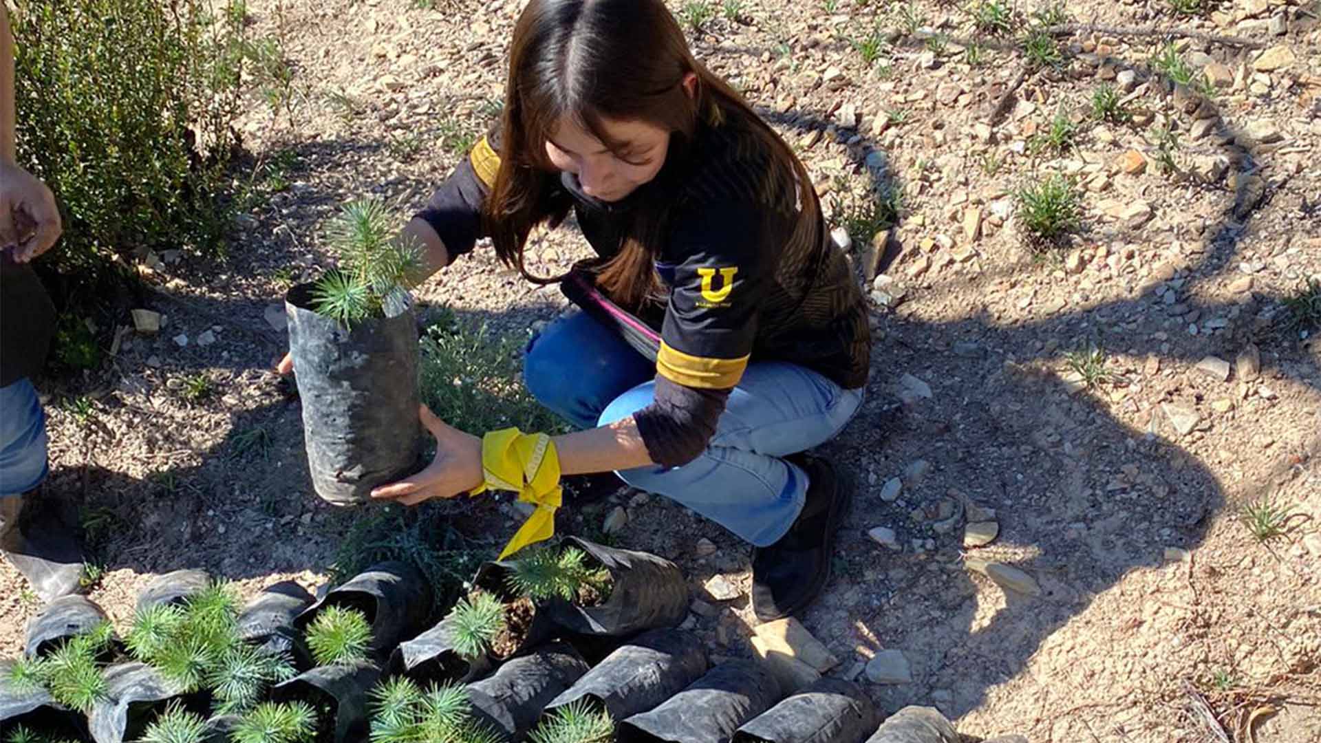 Obtienen voluntarios de Prepa "Pablo Livas" premio nacional