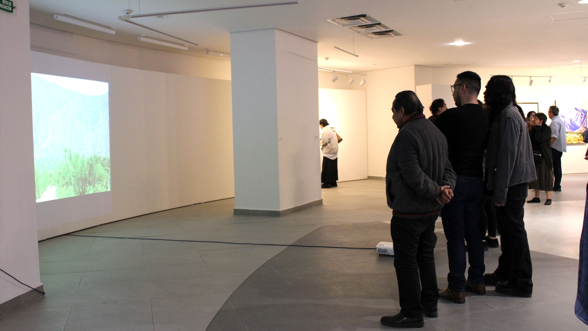 Inauguran exposición durante festejo del quinto aniversario del CEIIDA