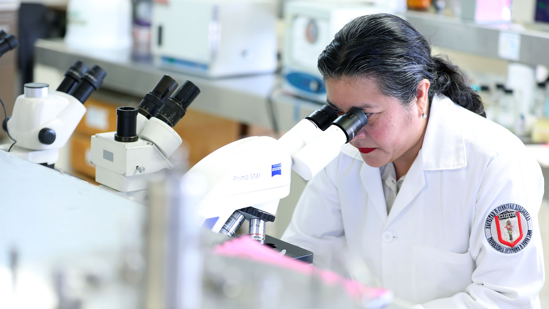 Fortalece Euraxess lazos científicos entre UANL y Unión Europea