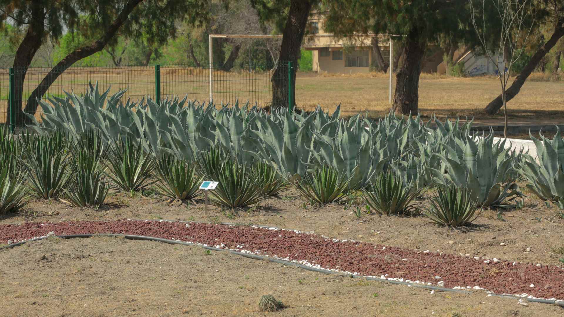 UANL hace de su Campus Marín un conservatorio natural