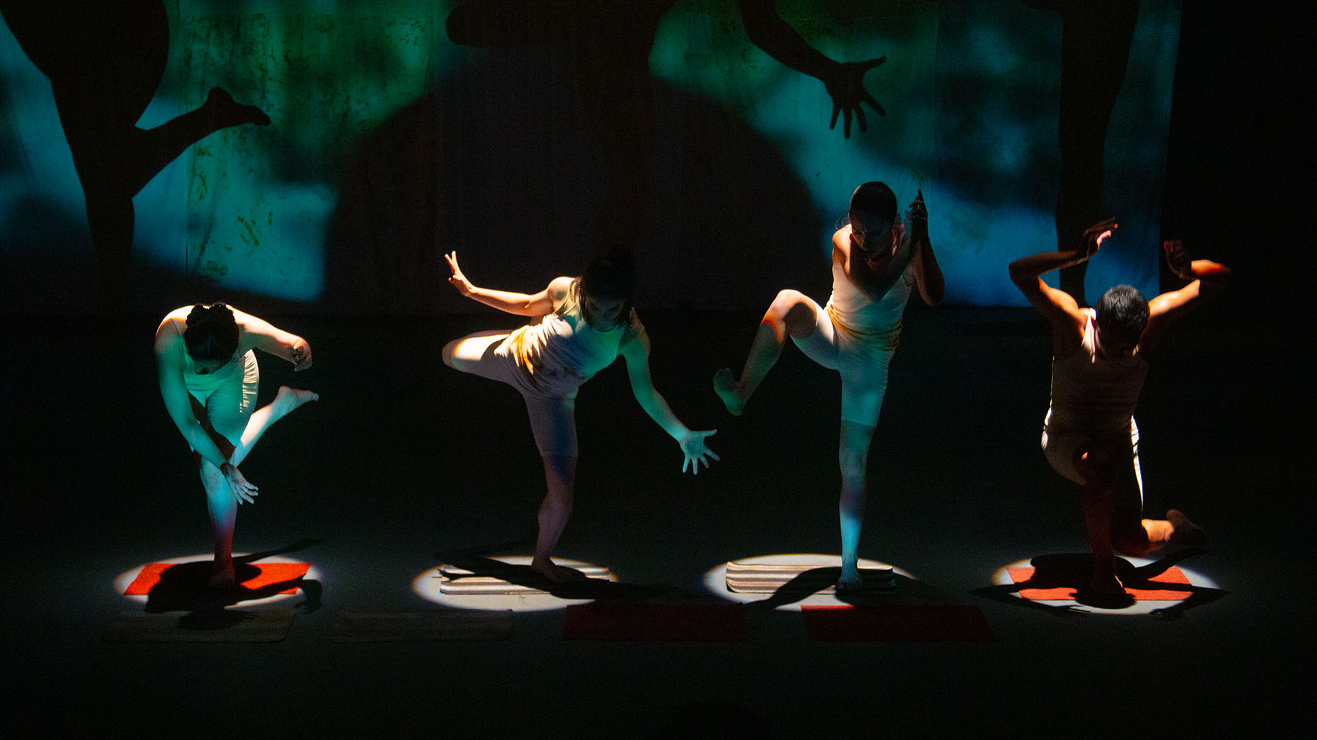 Representa UANL a México en festival de danza de Francia