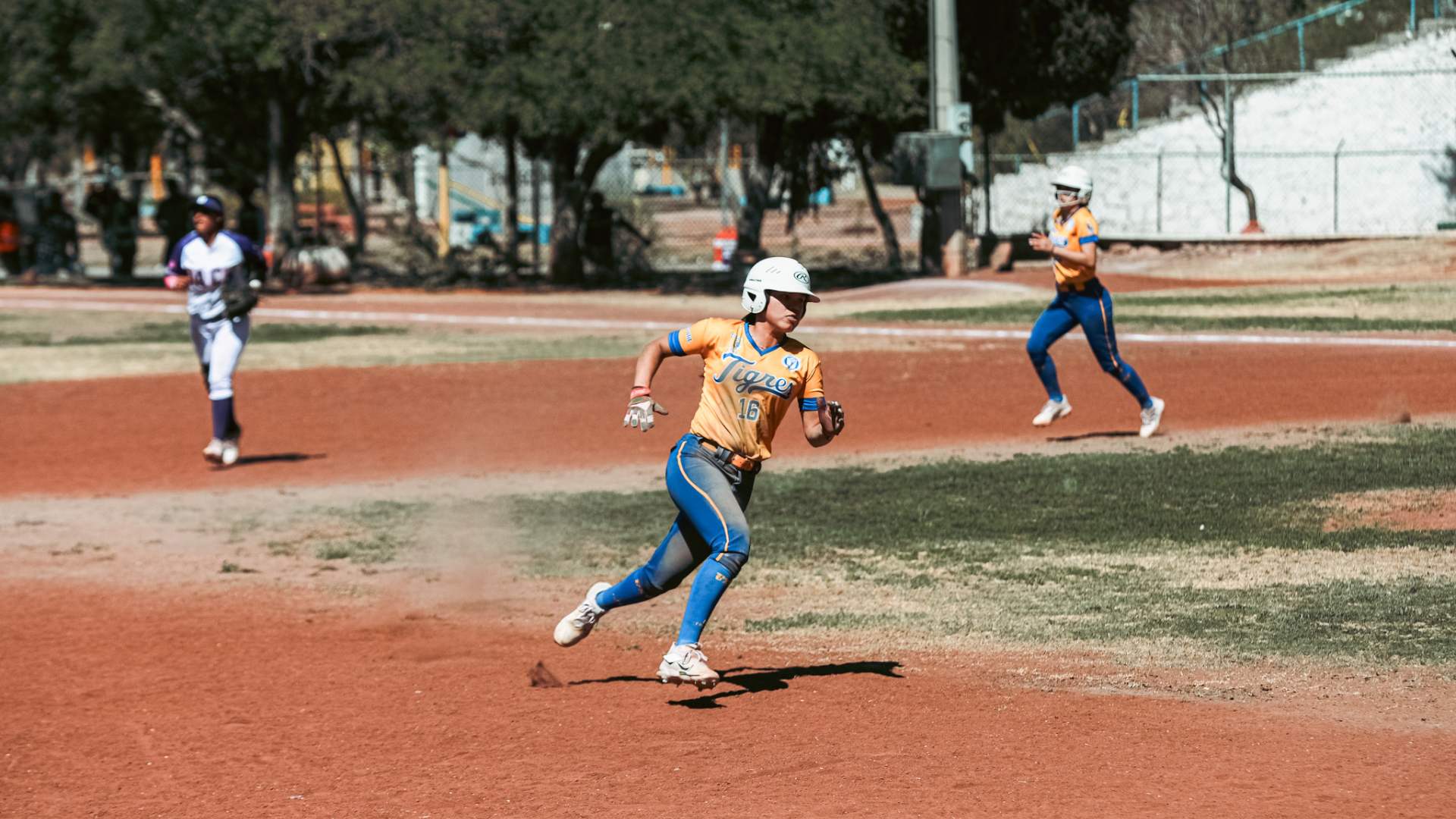 Van Tigres a final del softbol en Universiada Nacional