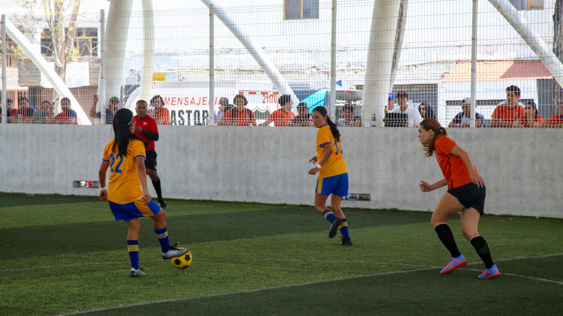 Obtienen Tigres 9 preseas para medallero UANL