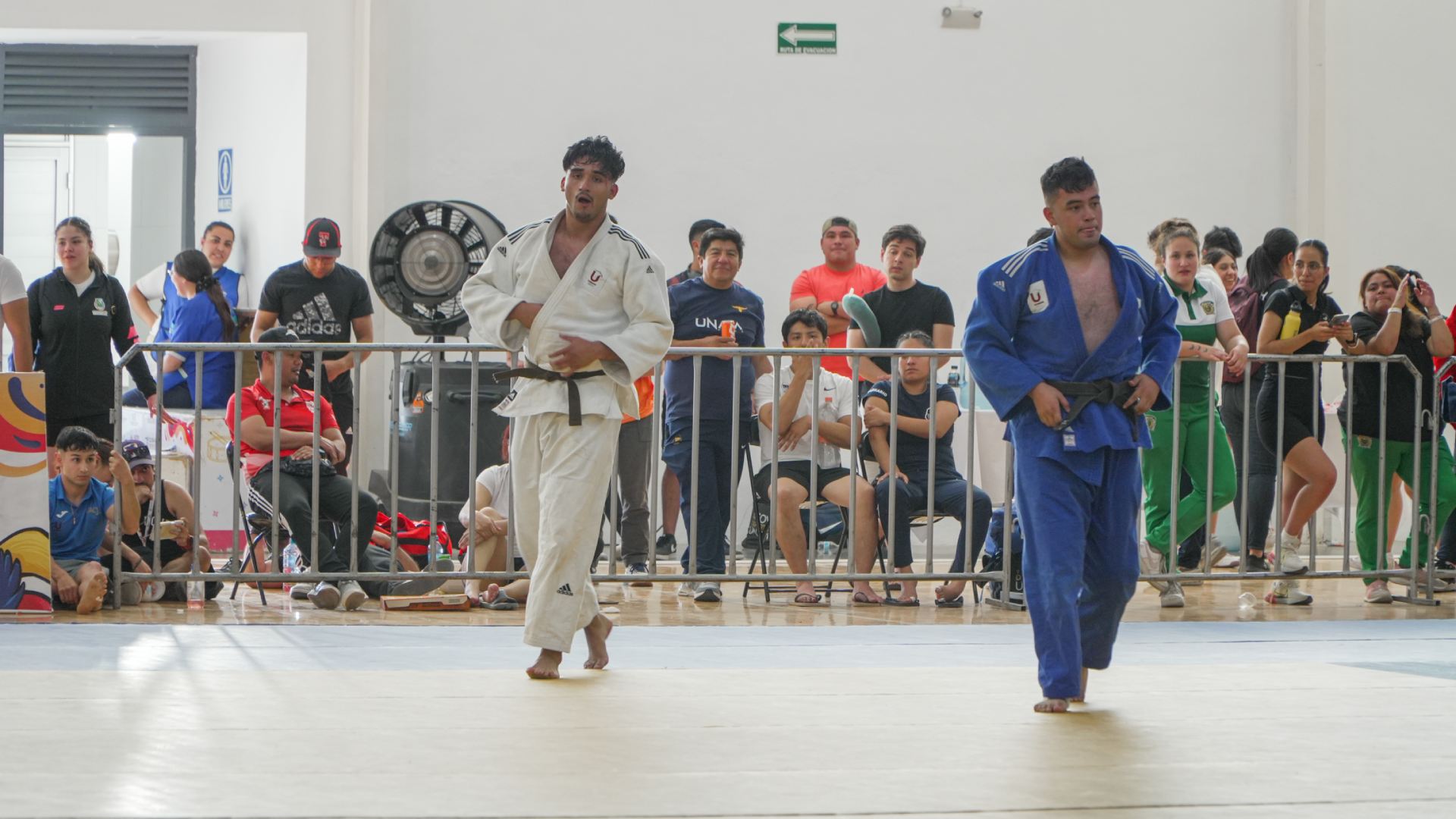 Hereda la pasión por el judo