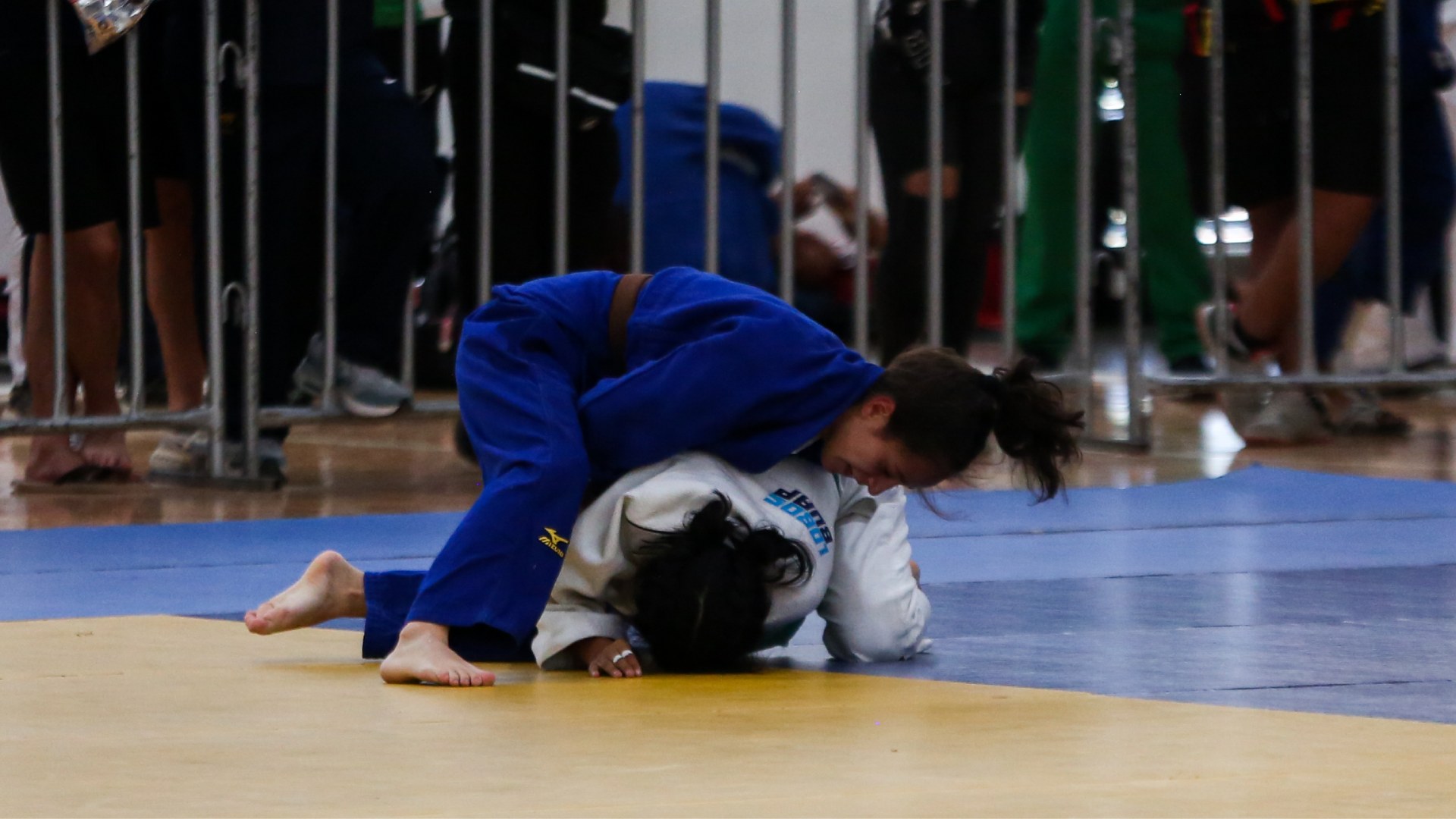 Logran Tigres campeonato de judo en Universiada Nacional 2024
