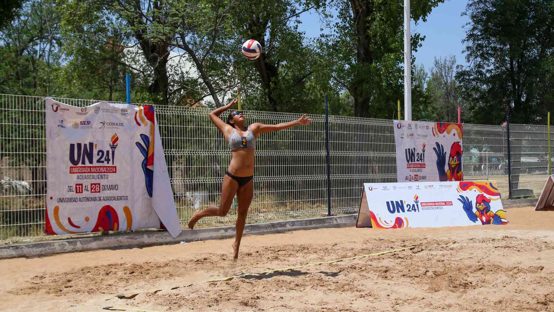 Cosechan Tigres 4 oros en deportes de contacto