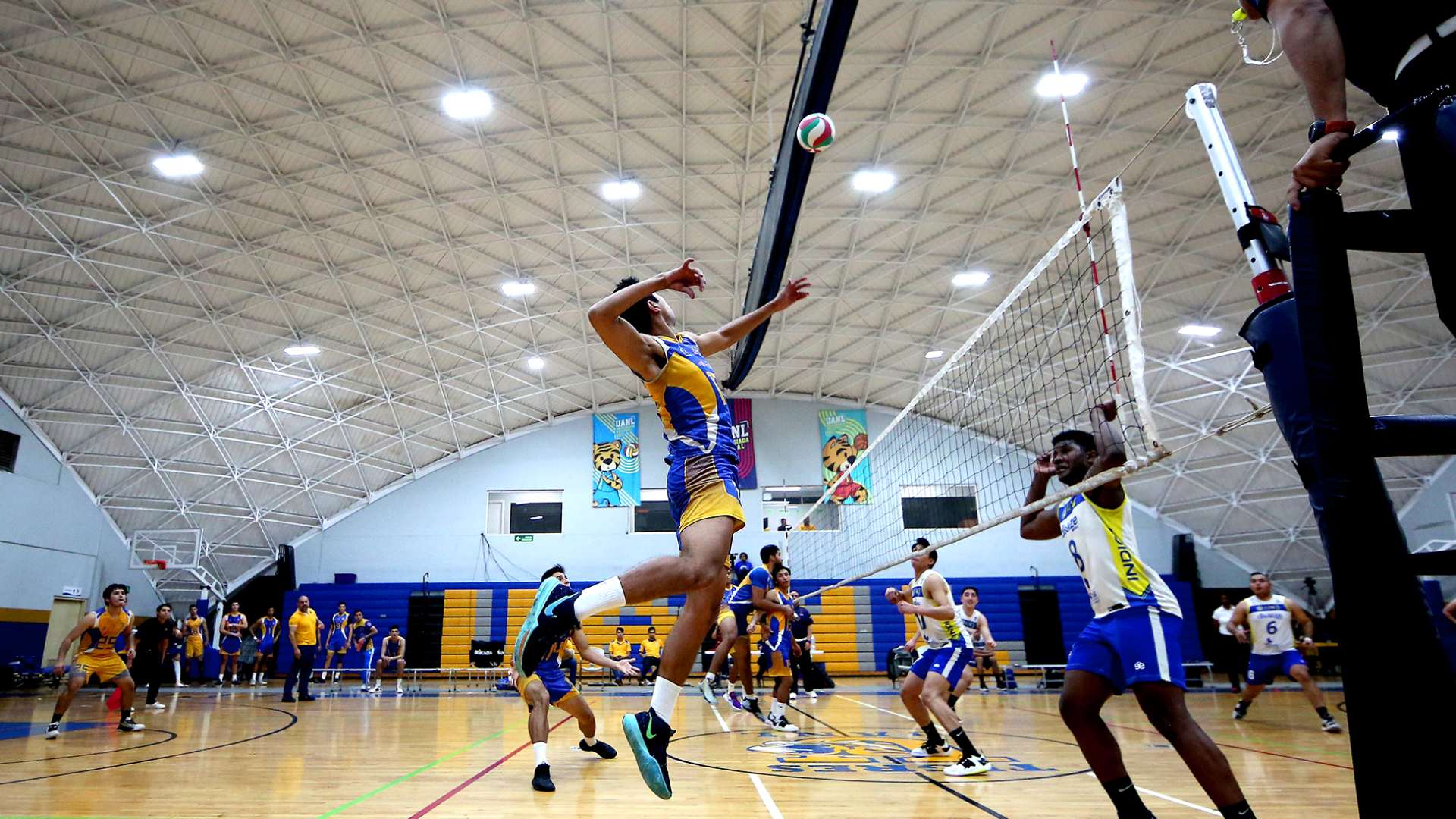 Vive gimnasio Luis E. Todd glorias deportivas de la Universidad