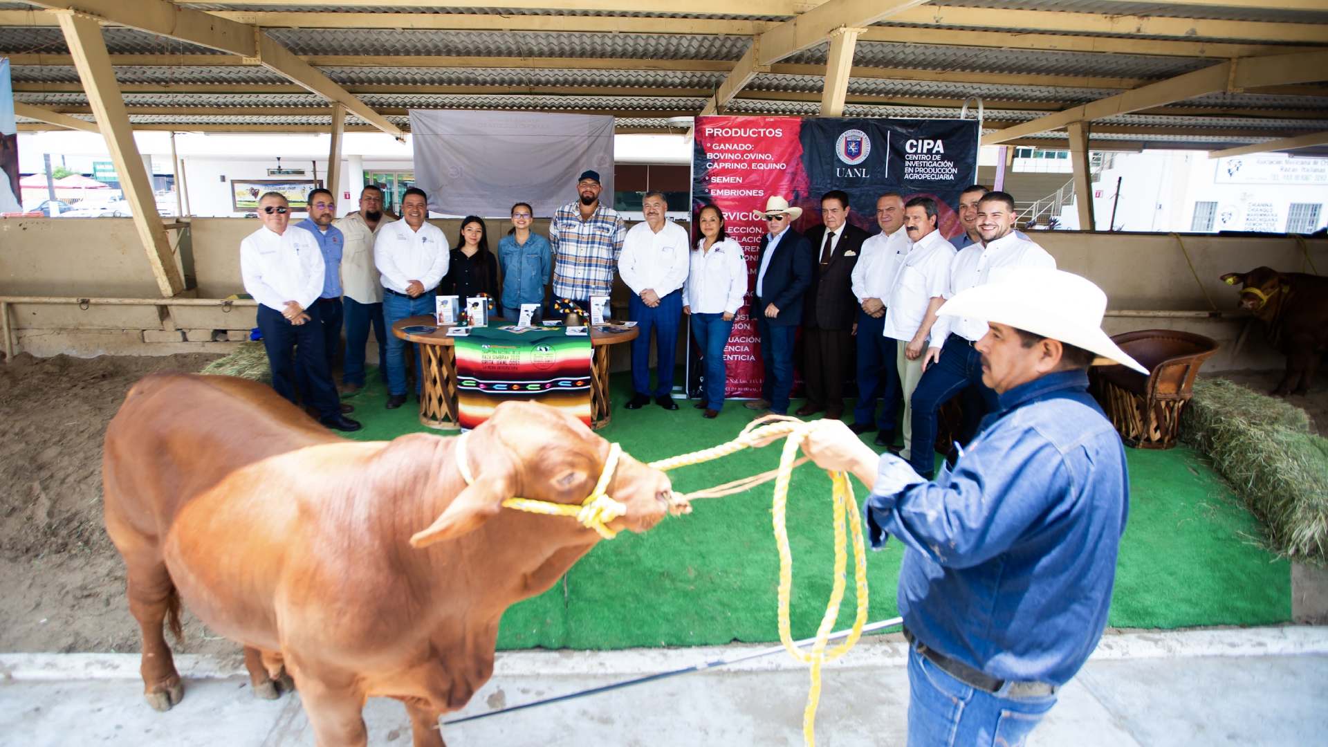 Exhibe UANL ganado de excelencia en la Expo Feria Guadalupe