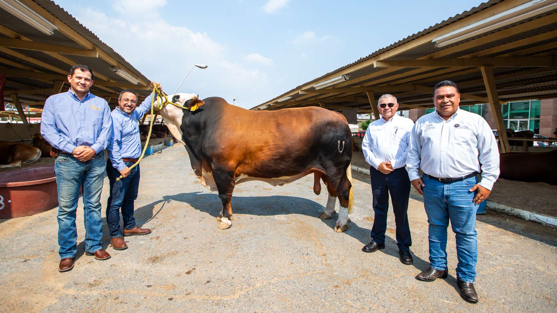 Exhibe UANL ganado de excelencia en la Expo Feria Guadalupe