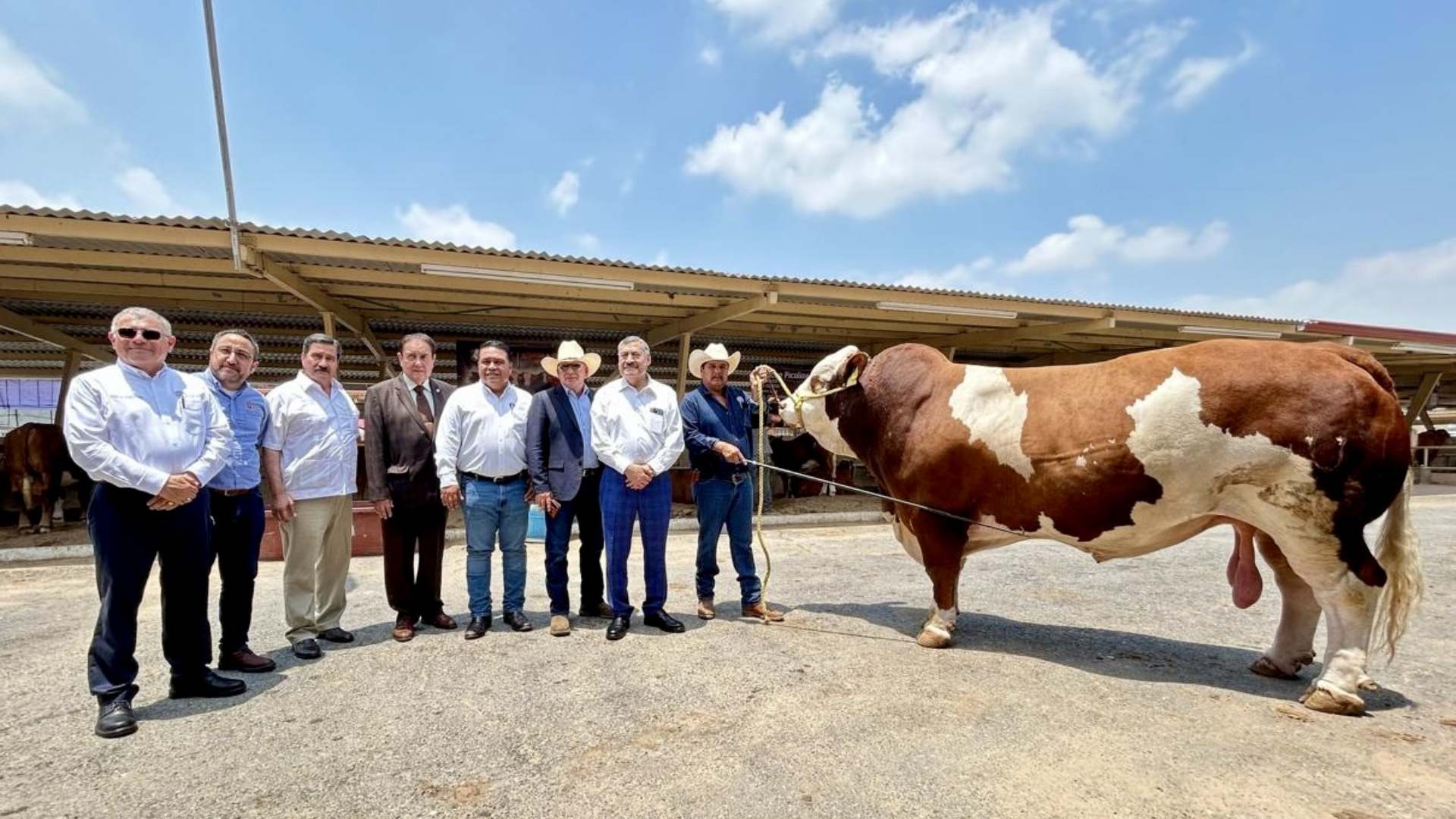 Exhibe UANL ganado de excelencia en la Expo Feria Guadalupe - Vida