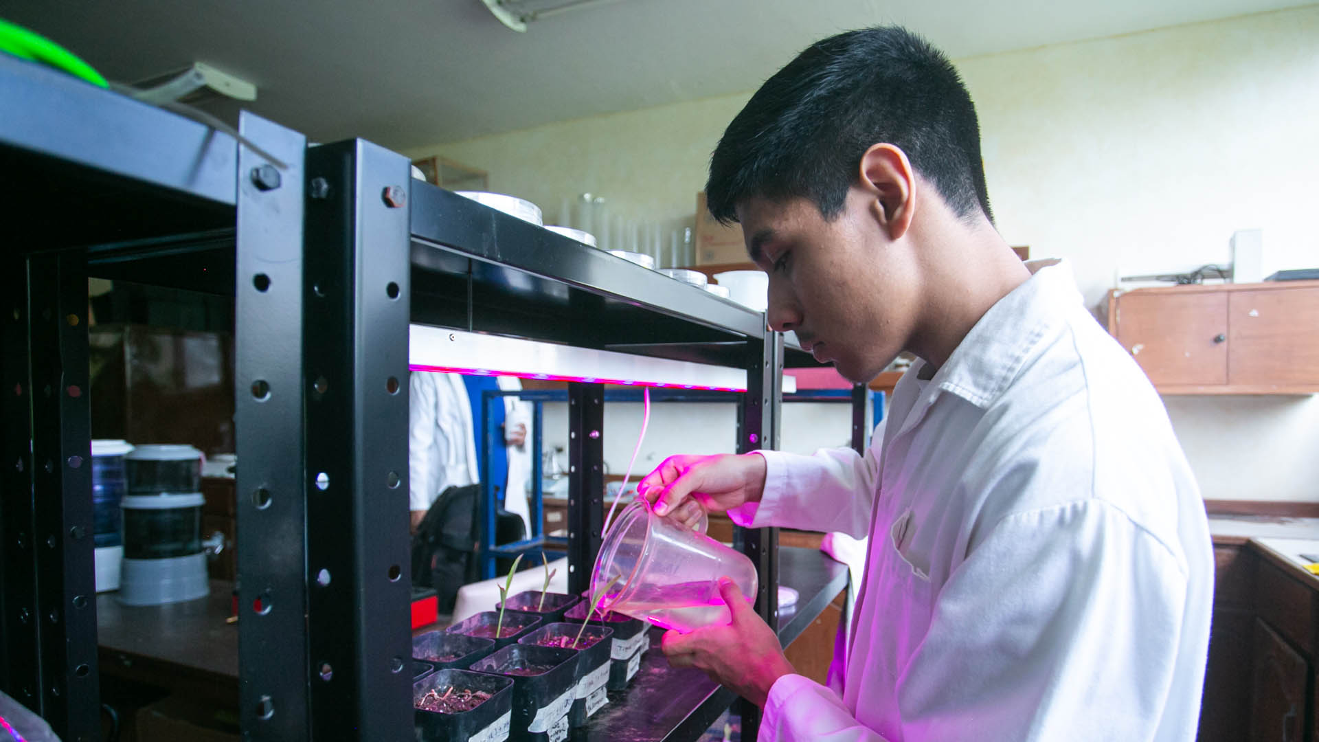 Definirá futuro profesional su participación en el PROVERICYT-UANL