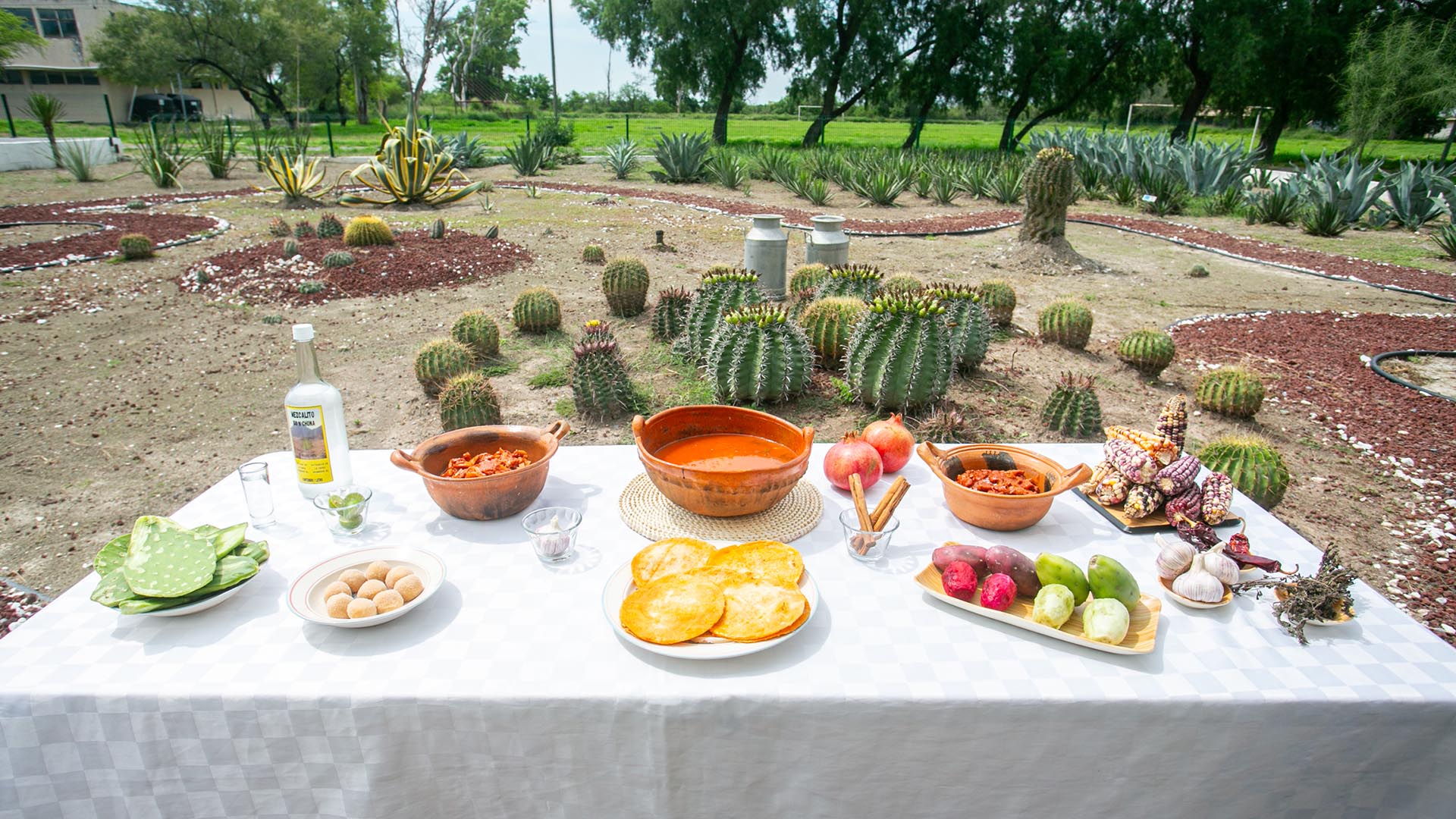 Rescata Agronomía tradición culinaria en muestra gastronómica
