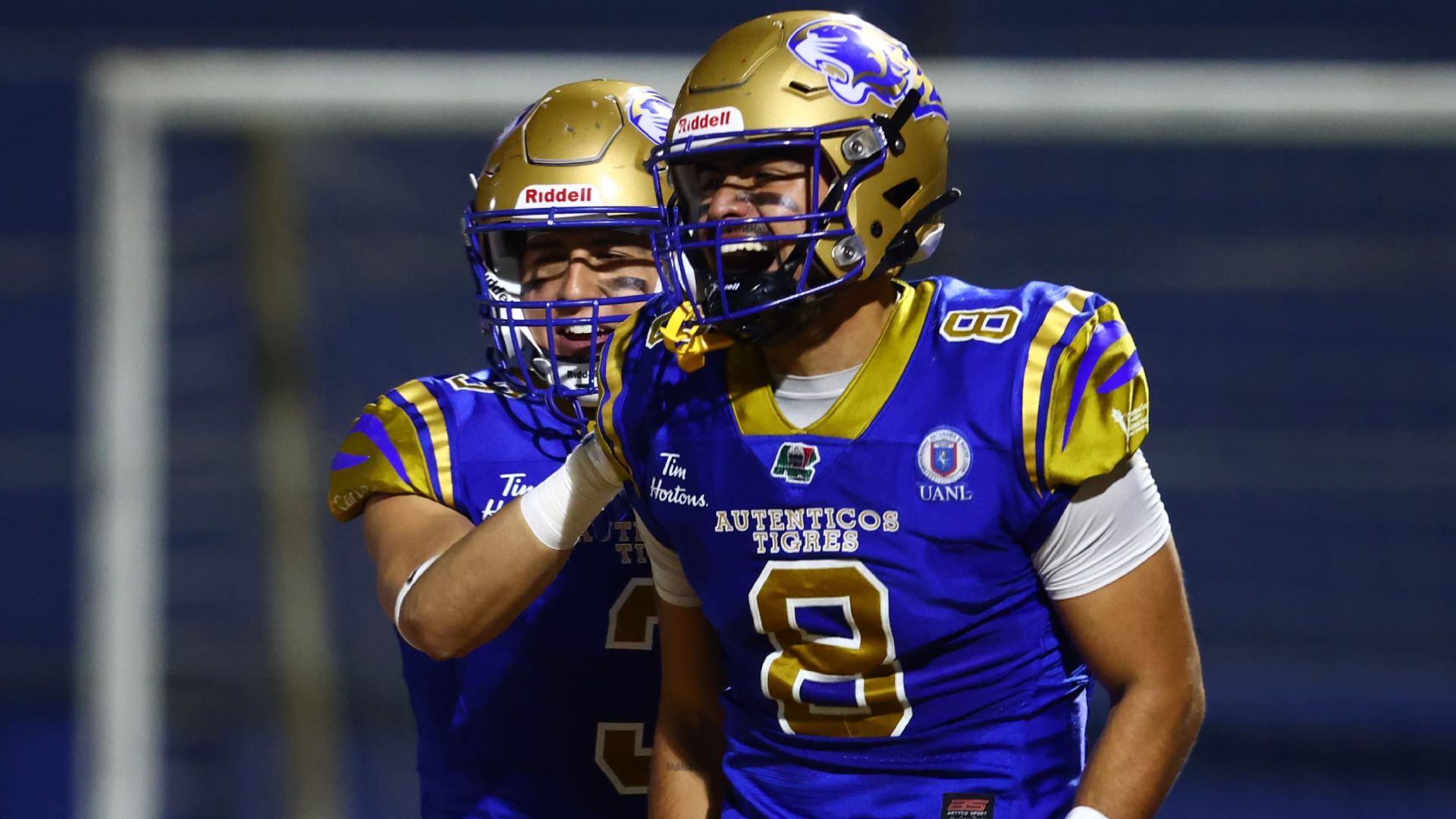 Auténticos Tigres en semifinales de ONEFA