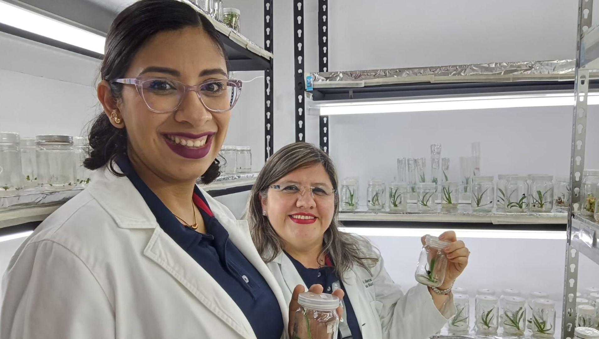 FCB-FCFM trabajan en conservación del agave para destilado Flammam