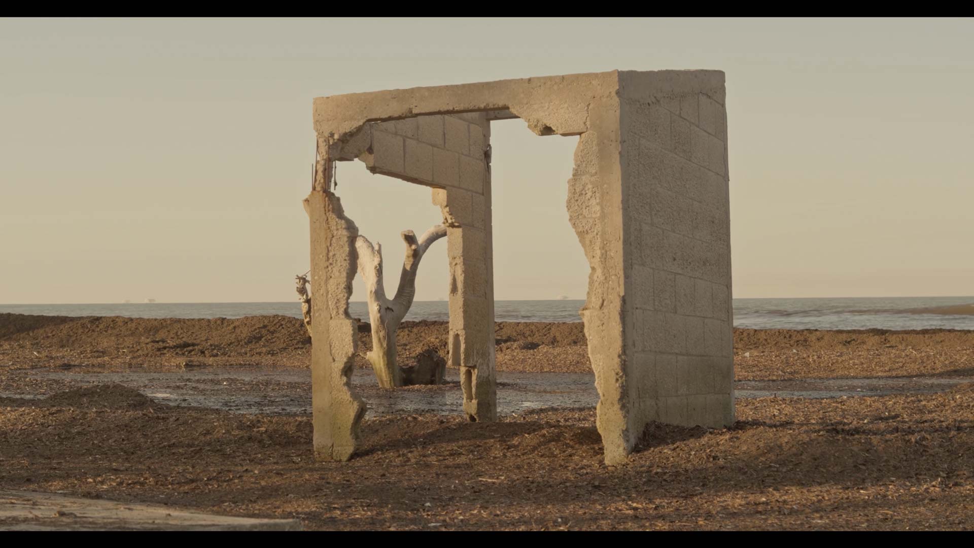 Documentan luchas por la tierra y el agua