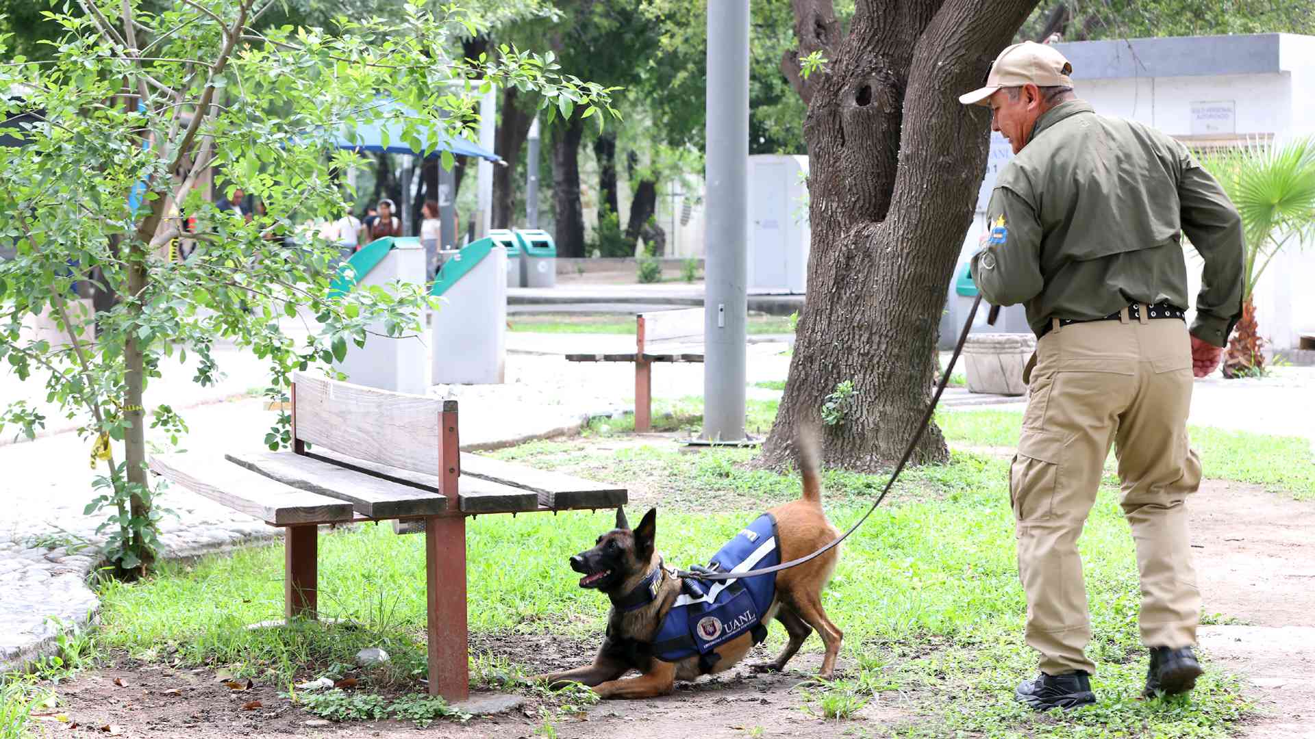Reciben binomios K9 certificación de organismo internacional