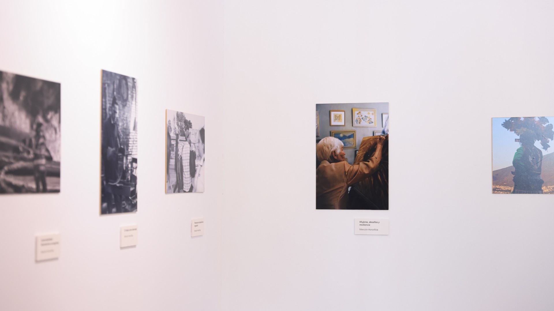 “Raíces en transición”, una conexión del arte con la realidad social