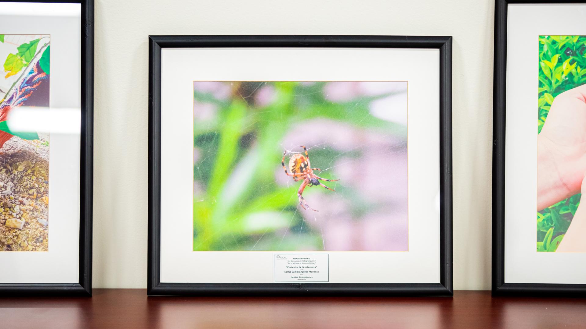 Captura la fauna de tu campus y gana concurso de fotografía