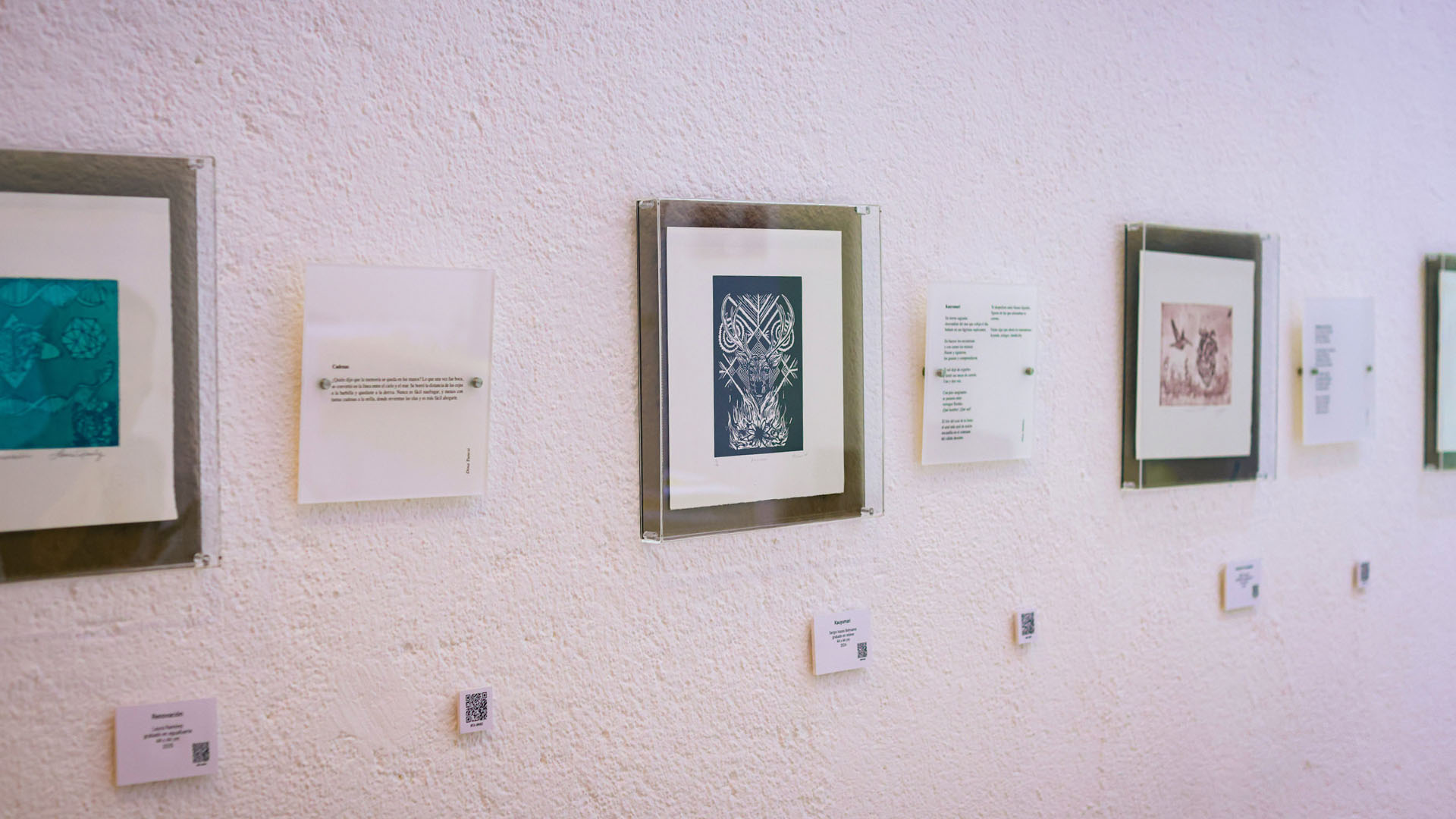 Invade arte instalaciones de la BURRF