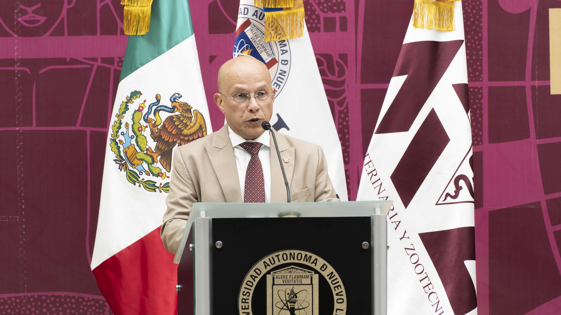 Lleva la obra de Marco Anaya a un estado de paz del público