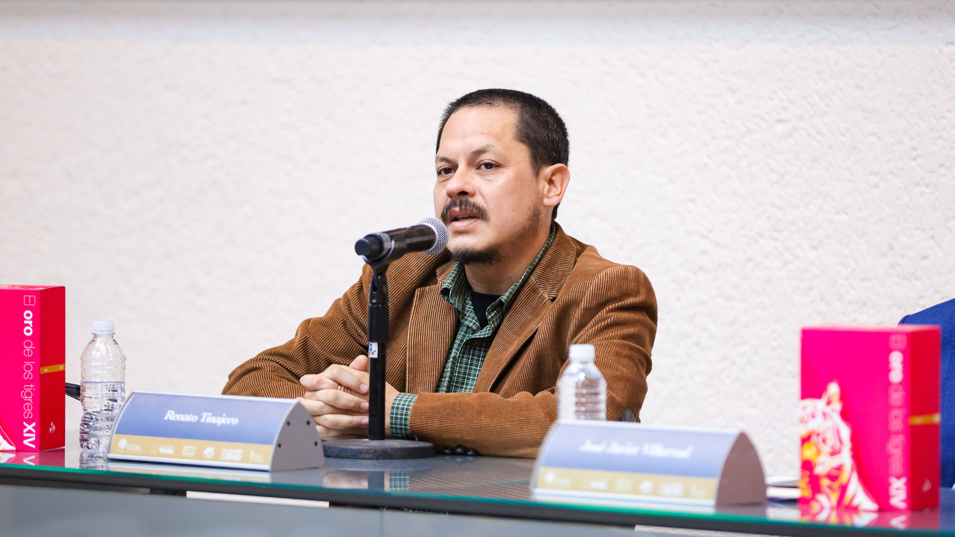 Tigres de 14 kilates