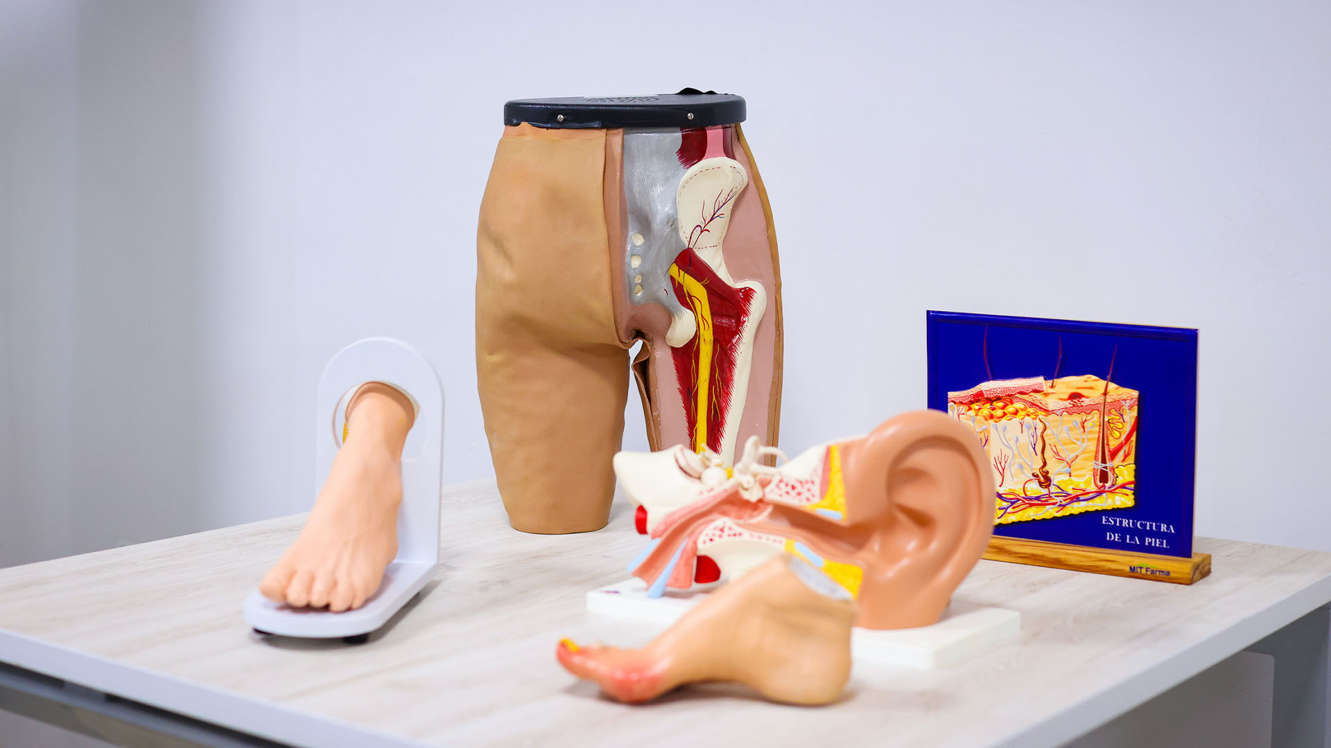 Realidad virtual transforma la enseñanza de la enfermería en la UANL