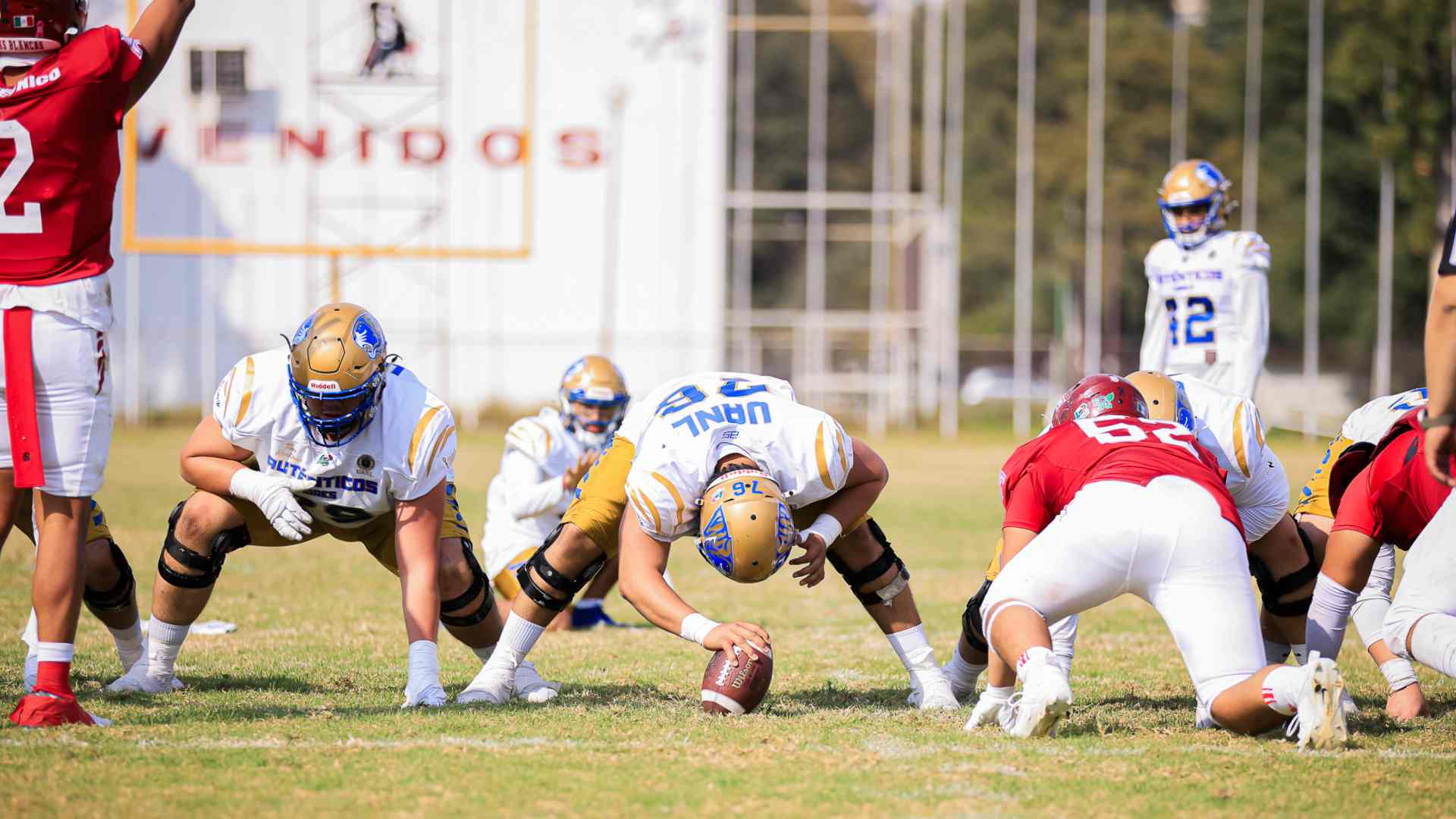 Auténticos Tigres se impone ante Águilas Blancas en tiempo extra