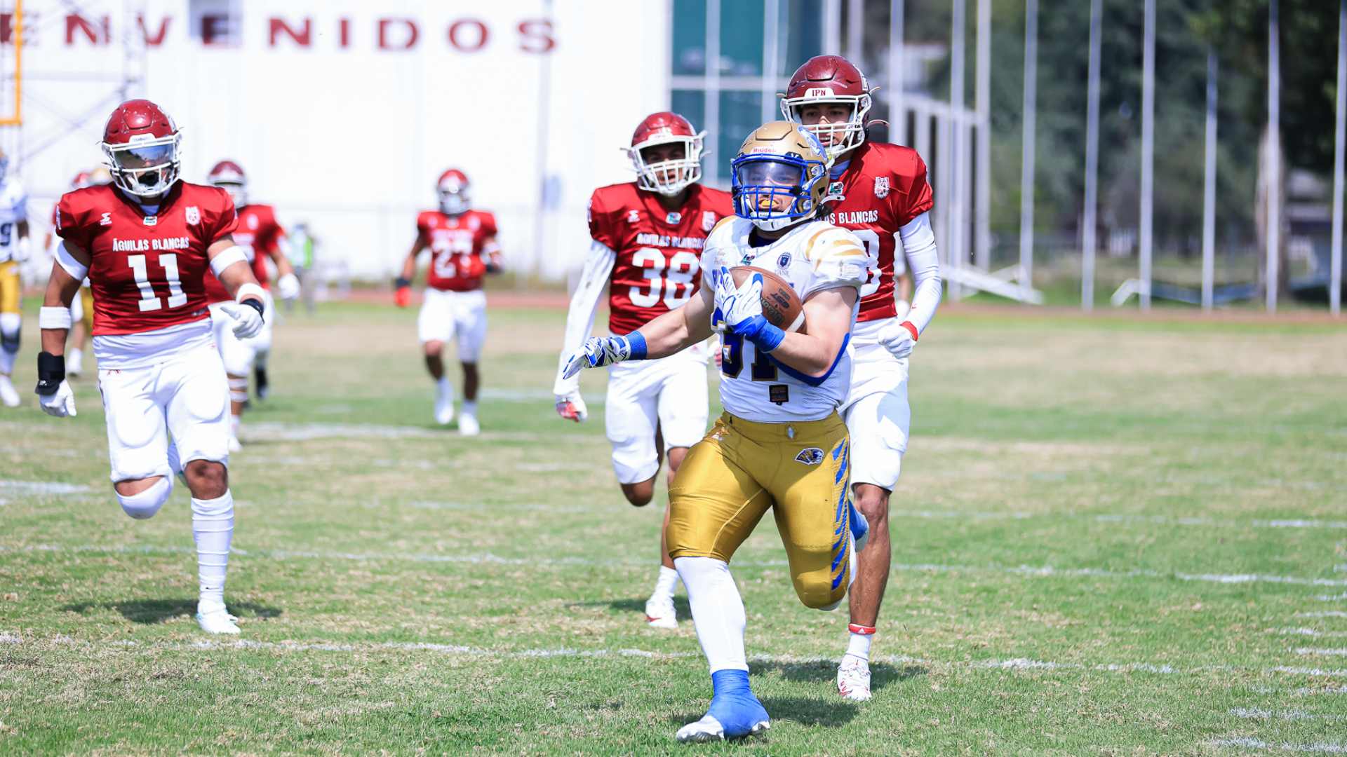 Auténticos Tigres se impone ante Águilas Blancas en tiempo extra