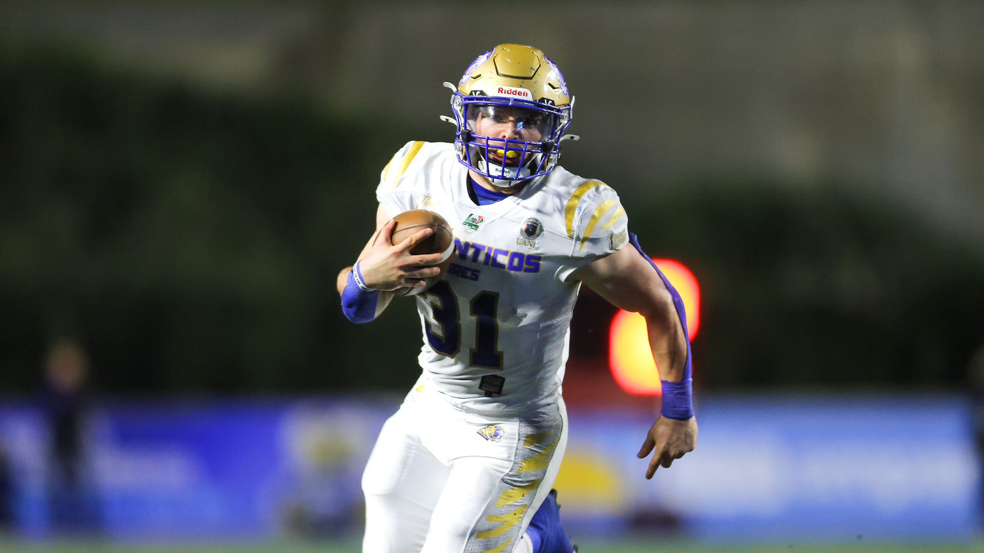 Auténticos Tigres campeones