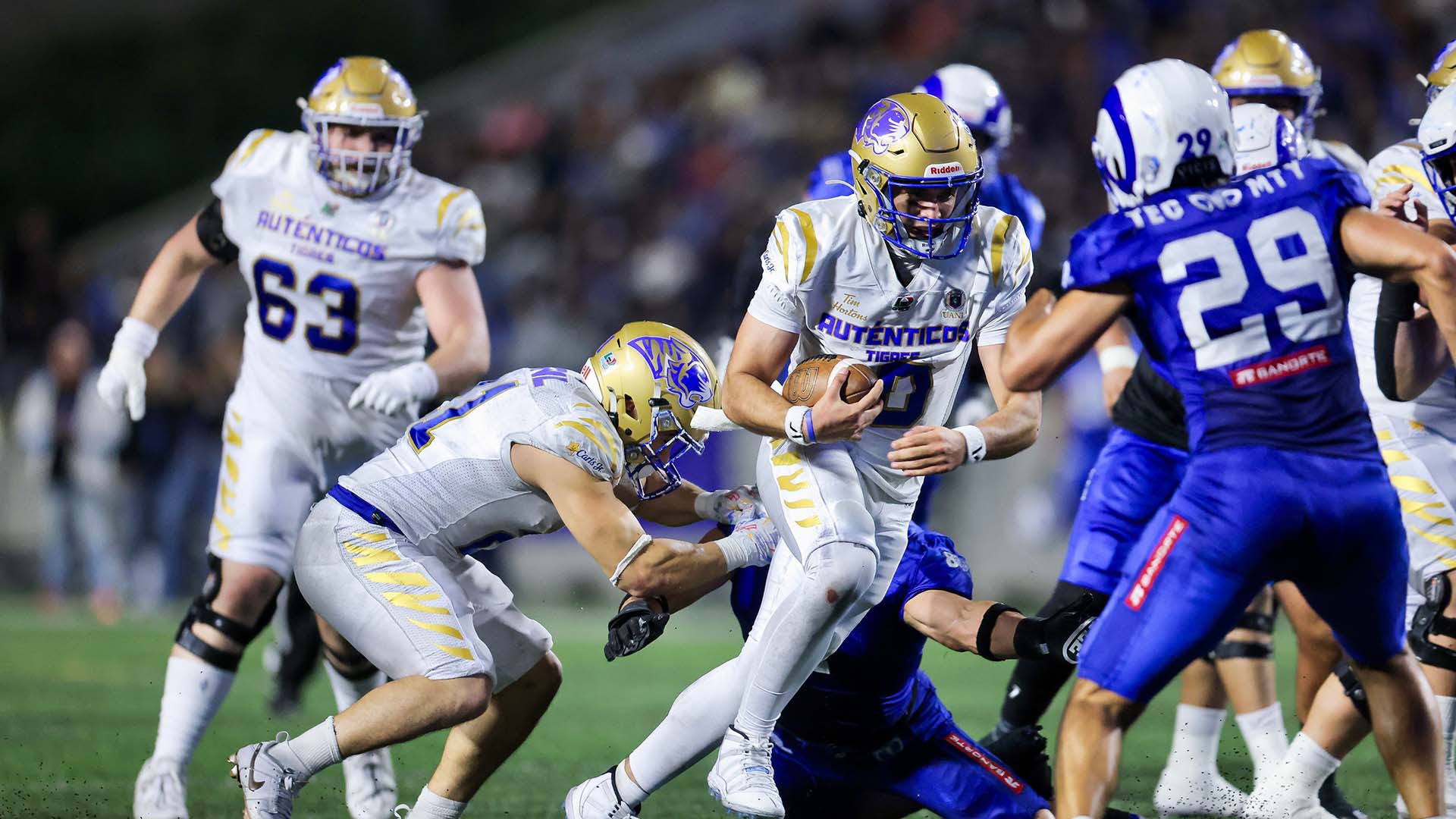 Auténticos Tigres campeones