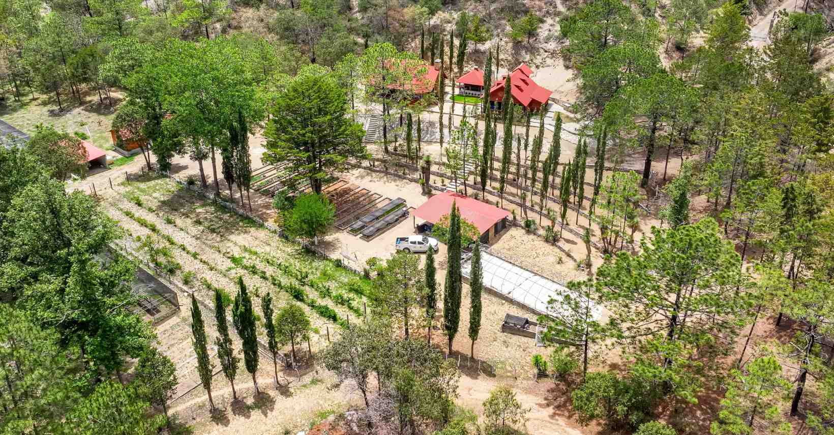 Conserva UANL posición como la universidad más sustentabe en México