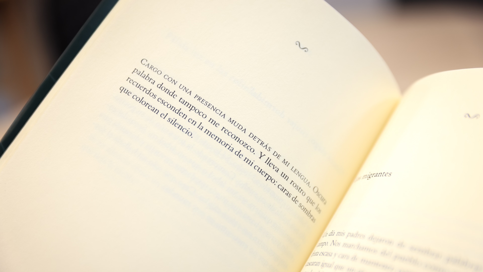 La lengua materna es la casa