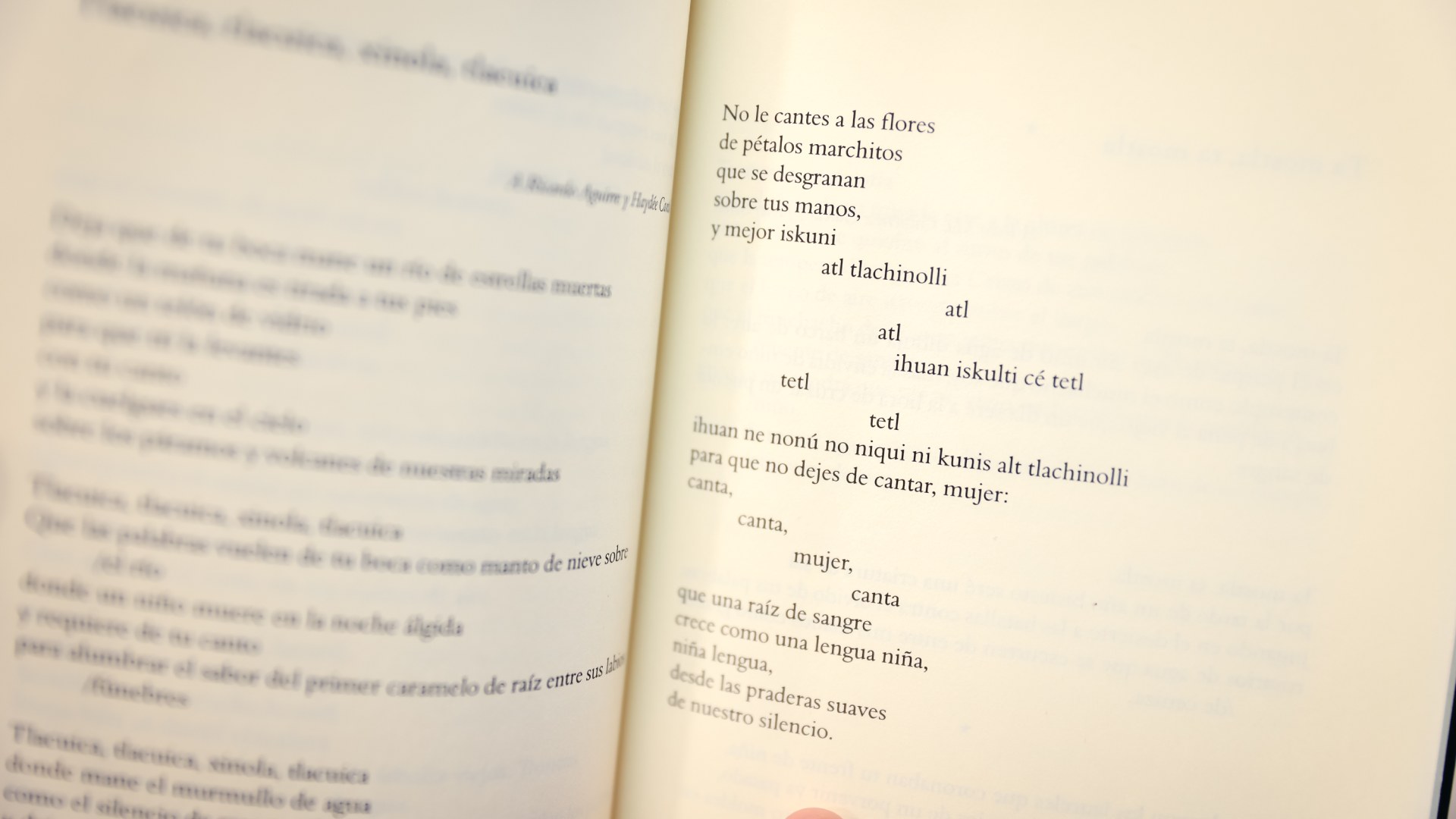 La lengua materna es la casa