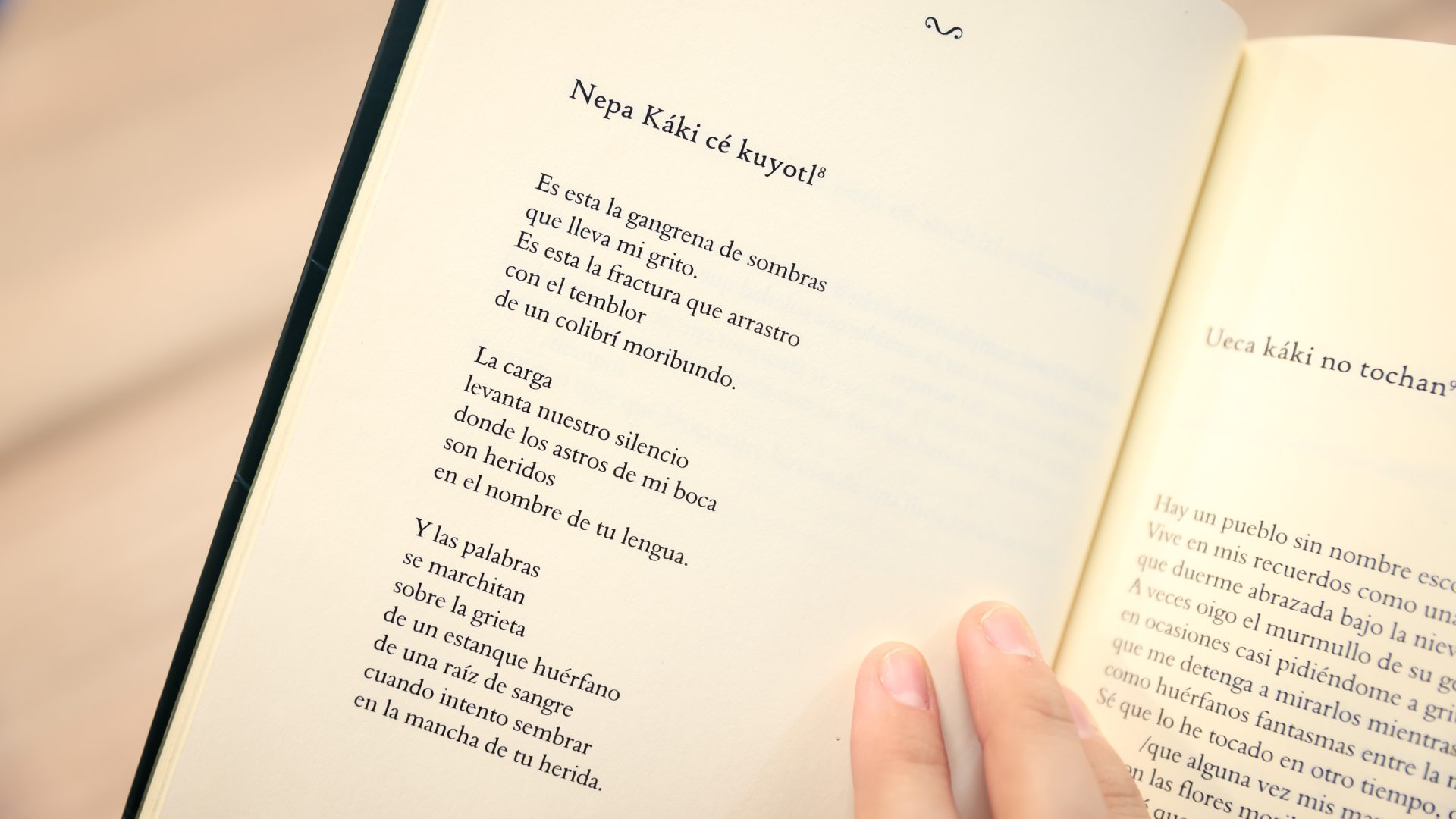 La lengua materna es la casa