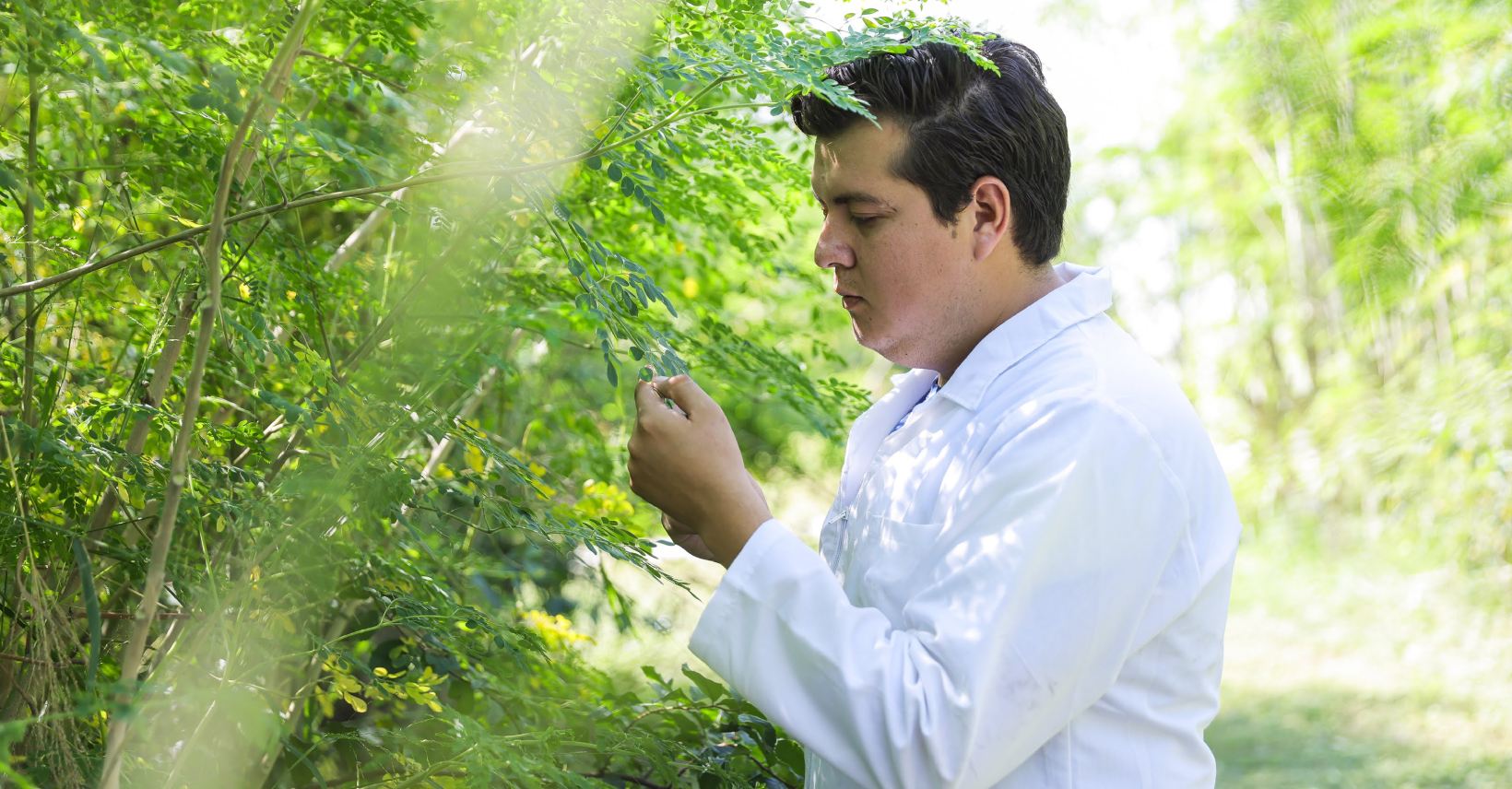 Conserva UANL posición como la universidad más sustentabe en México