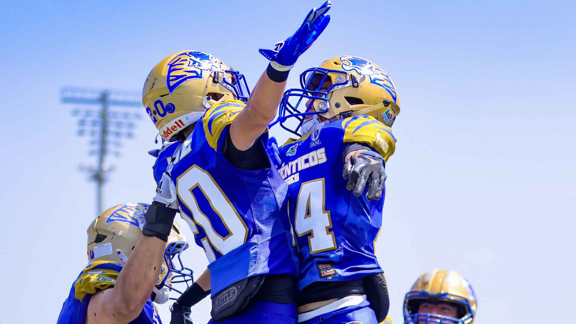 Auténticos Tigres avanza a final de Categoría Intermedia ONEFA